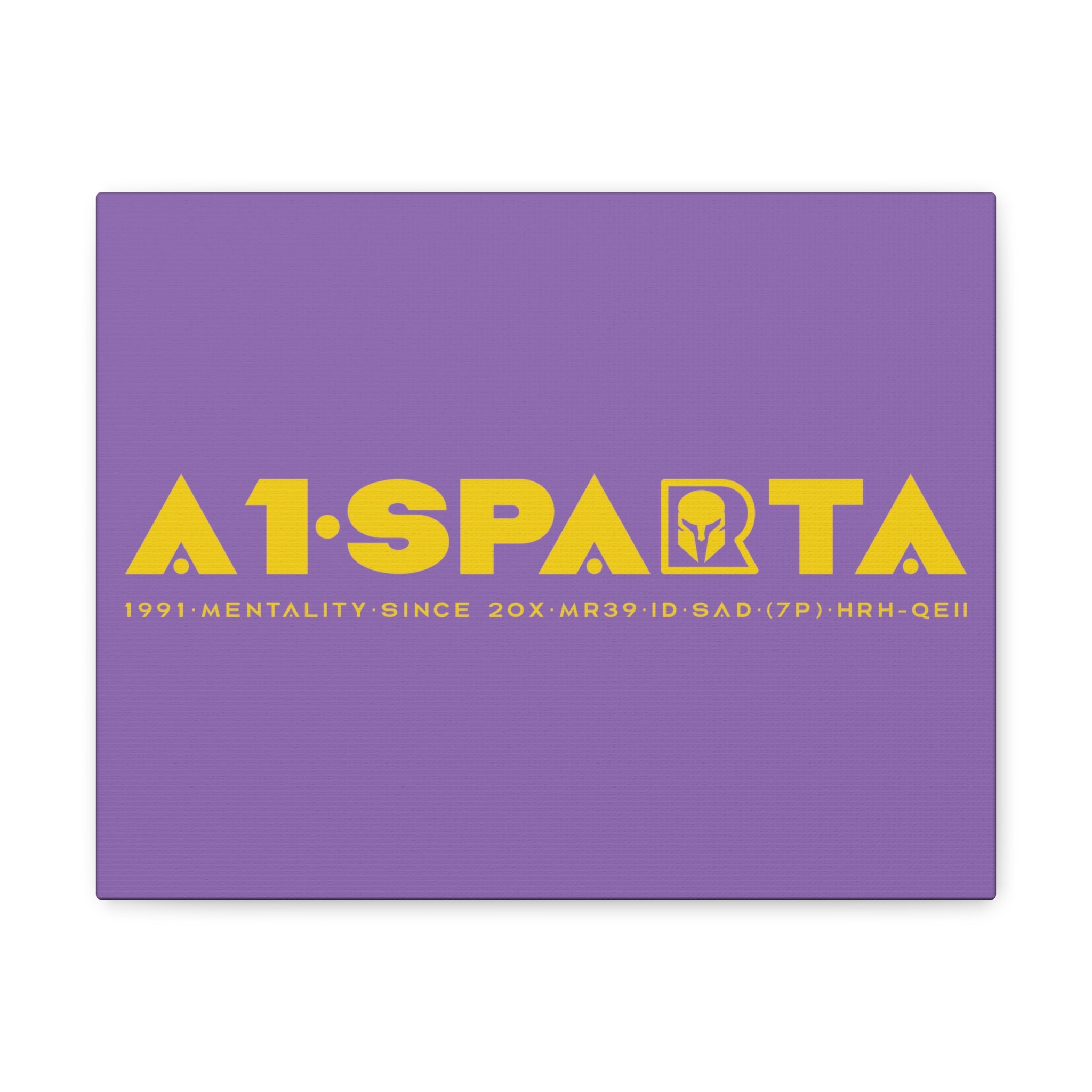 Canvas Gallery Wraps (A1•SPARTA RANGE)