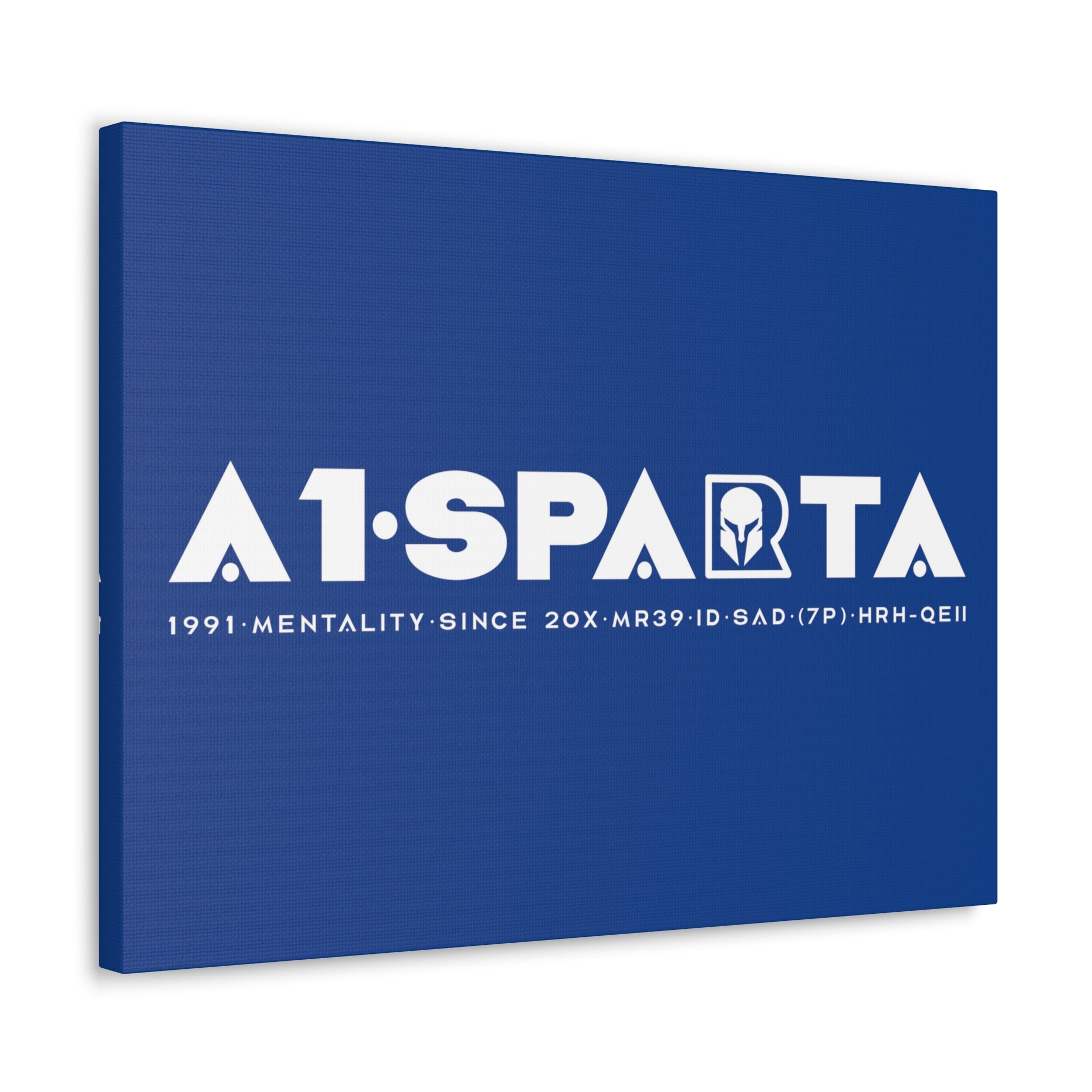 Canvas Gallery Wraps (A1•SPARTA RANGE)