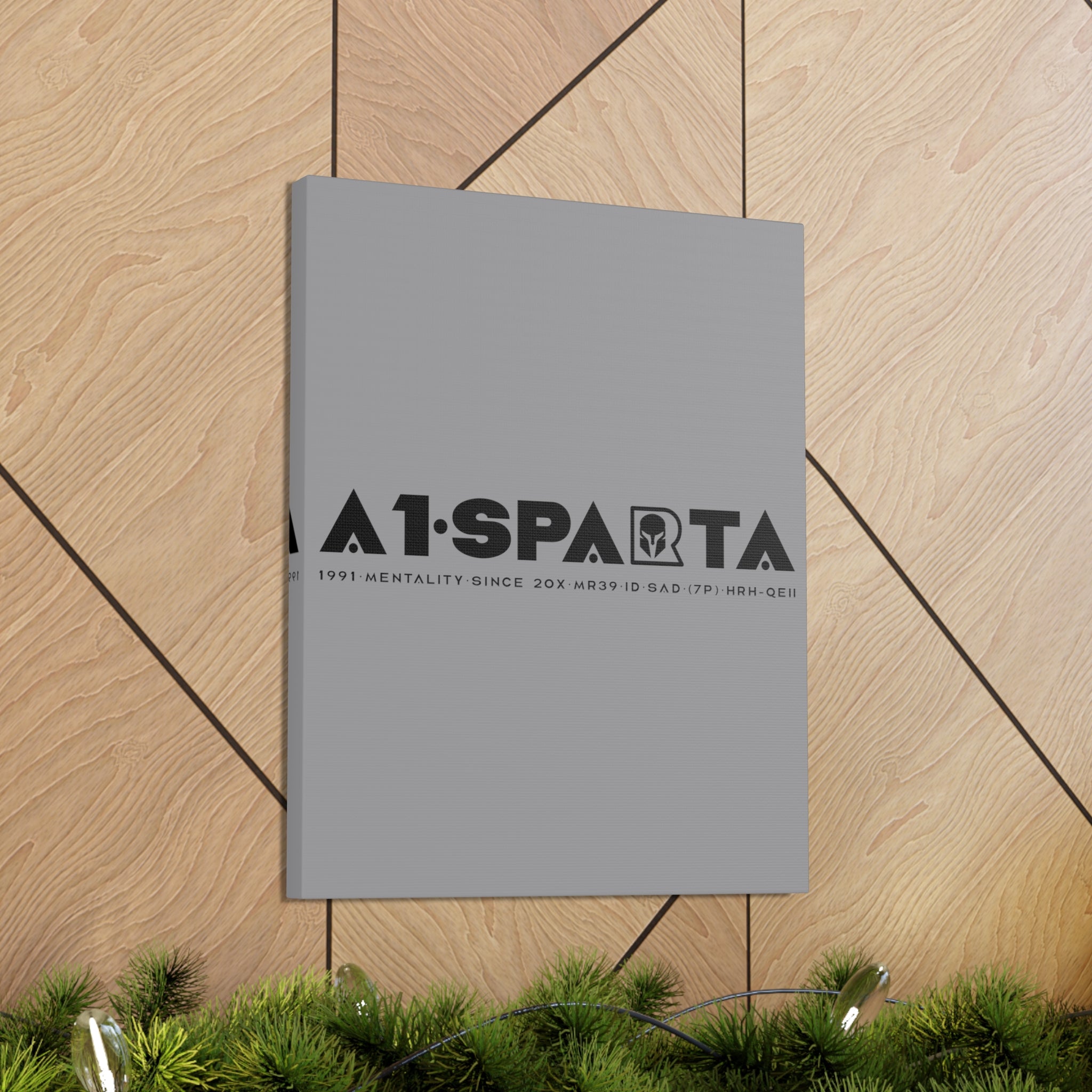 Canvas Gallery Wraps (A1•SPARTA RANGE)