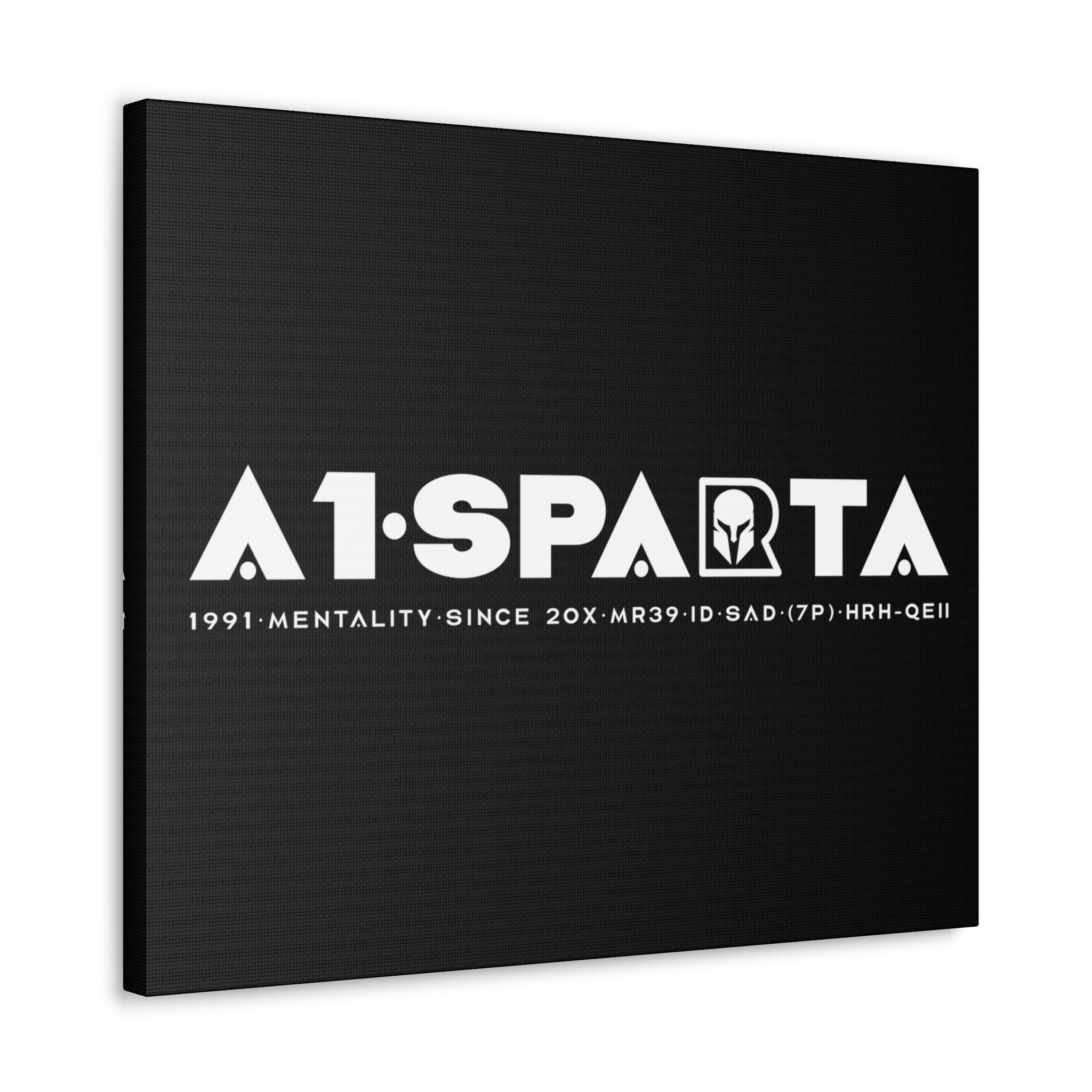 Canvas Gallery Wraps (A1•SPARTA RANGE)