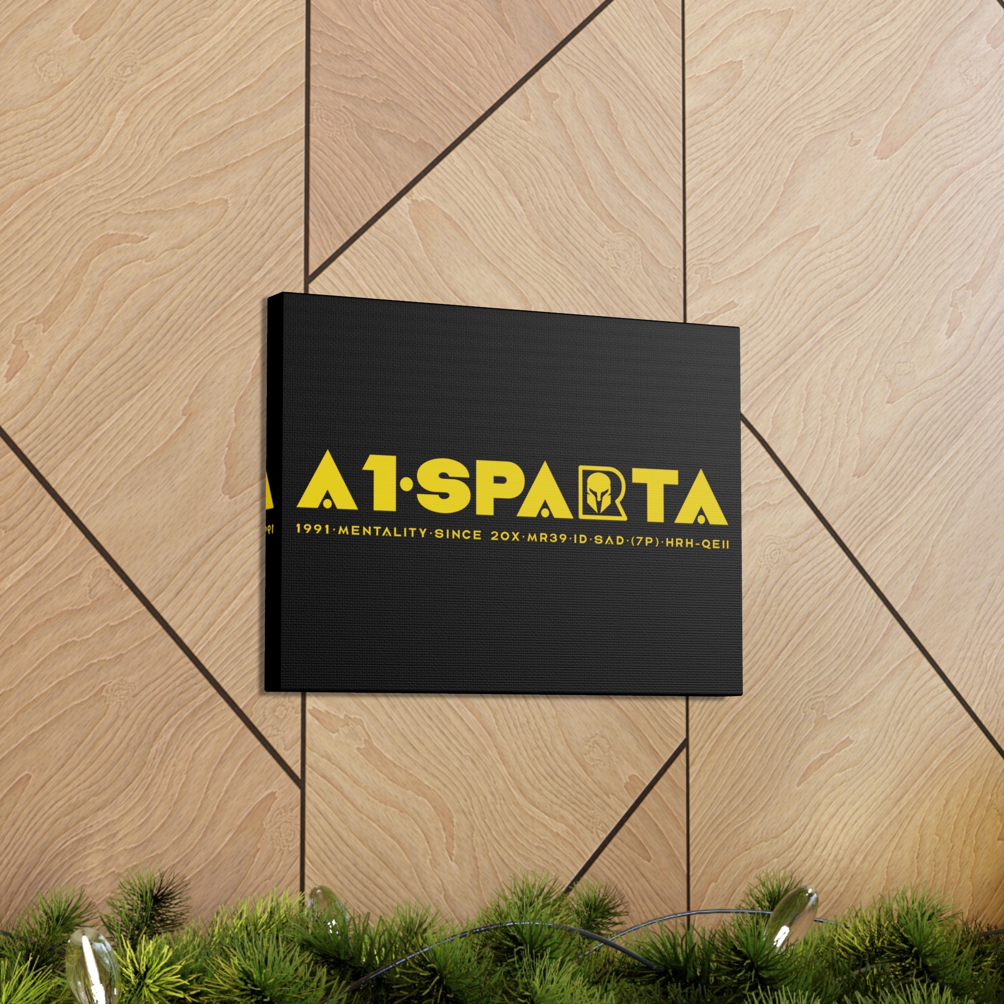Canvas Gallery Wraps (A1•SPARTA RANGE)