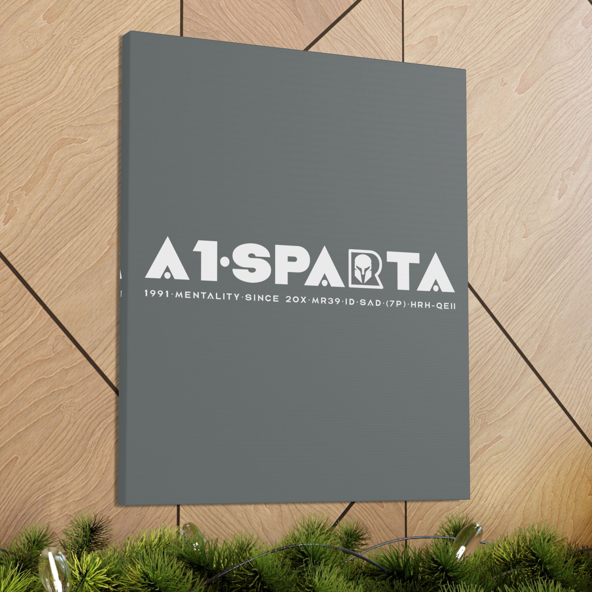 Canvas Gallery Wraps (A1•SPARTA RANGE)