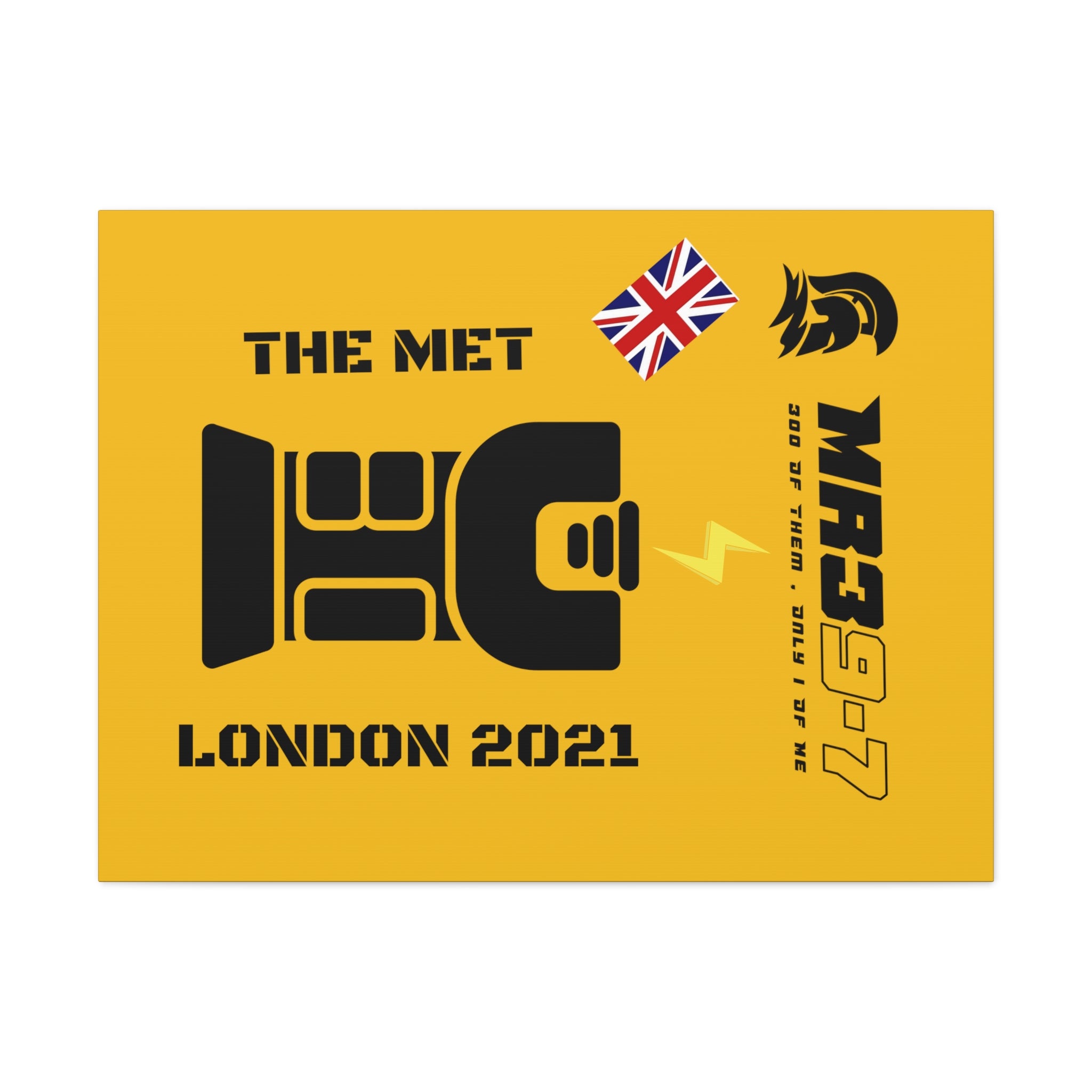 Canvas Gallery Wraps MR 39 Tasered by The MET 2021