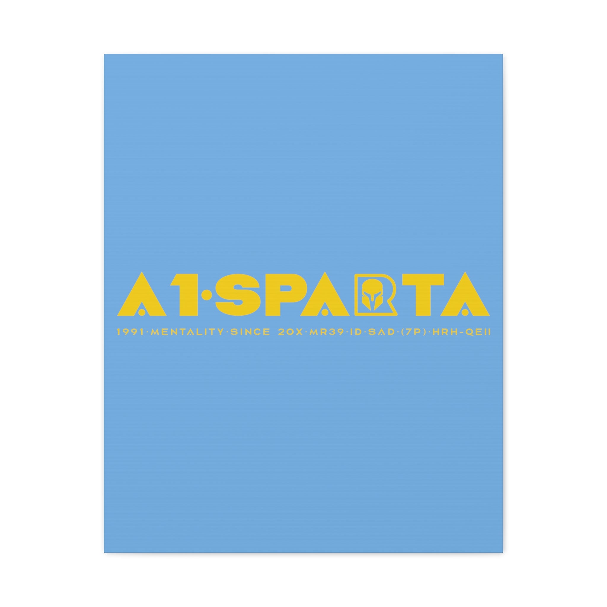 Canvas Gallery Wraps (A1•SPARTA RANGE)