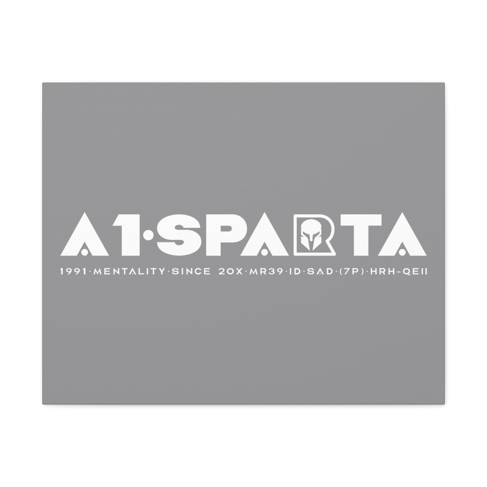 Canvas Gallery Wraps (A1•SPARTA RANGE)