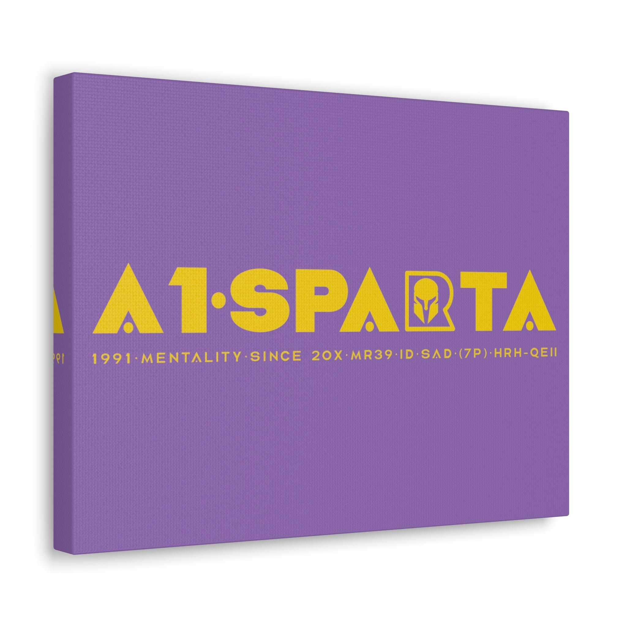 Canvas Gallery Wraps (A1•SPARTA RANGE)