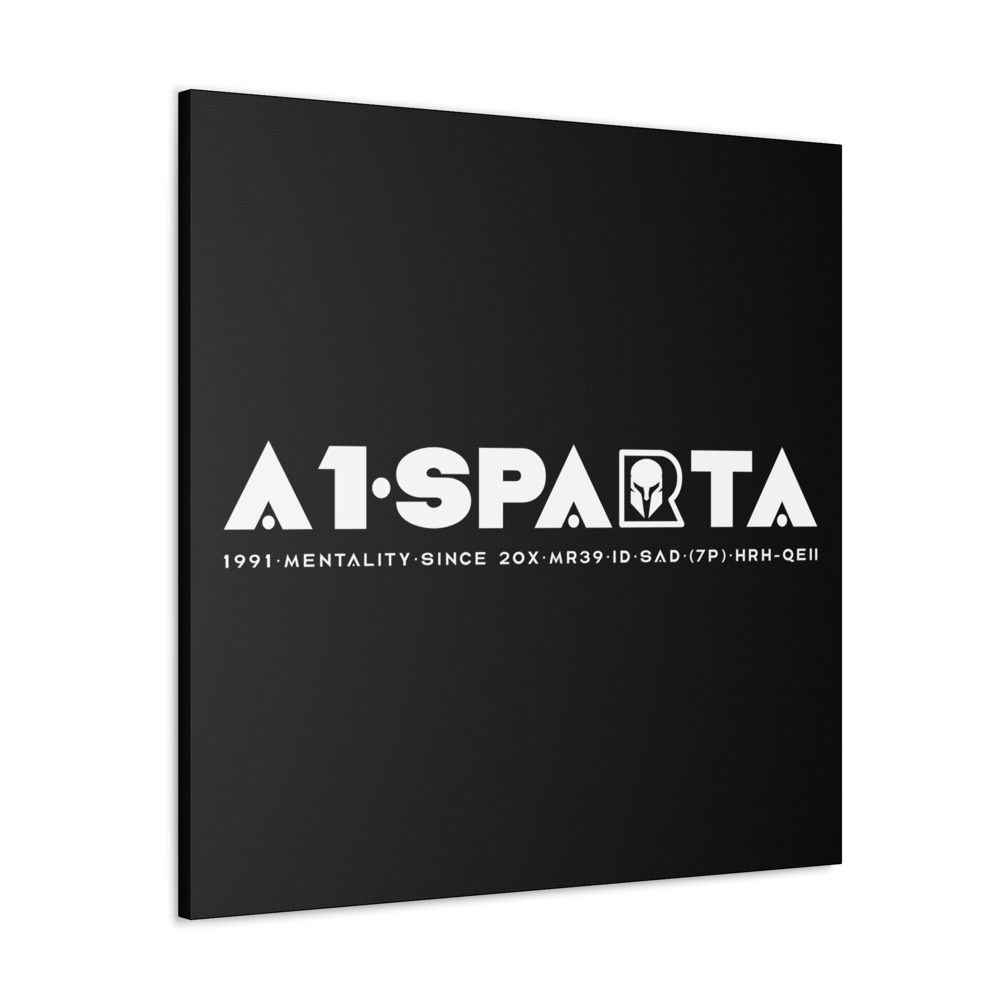 Canvas Gallery Wraps (A1•SPARTA RANGE)