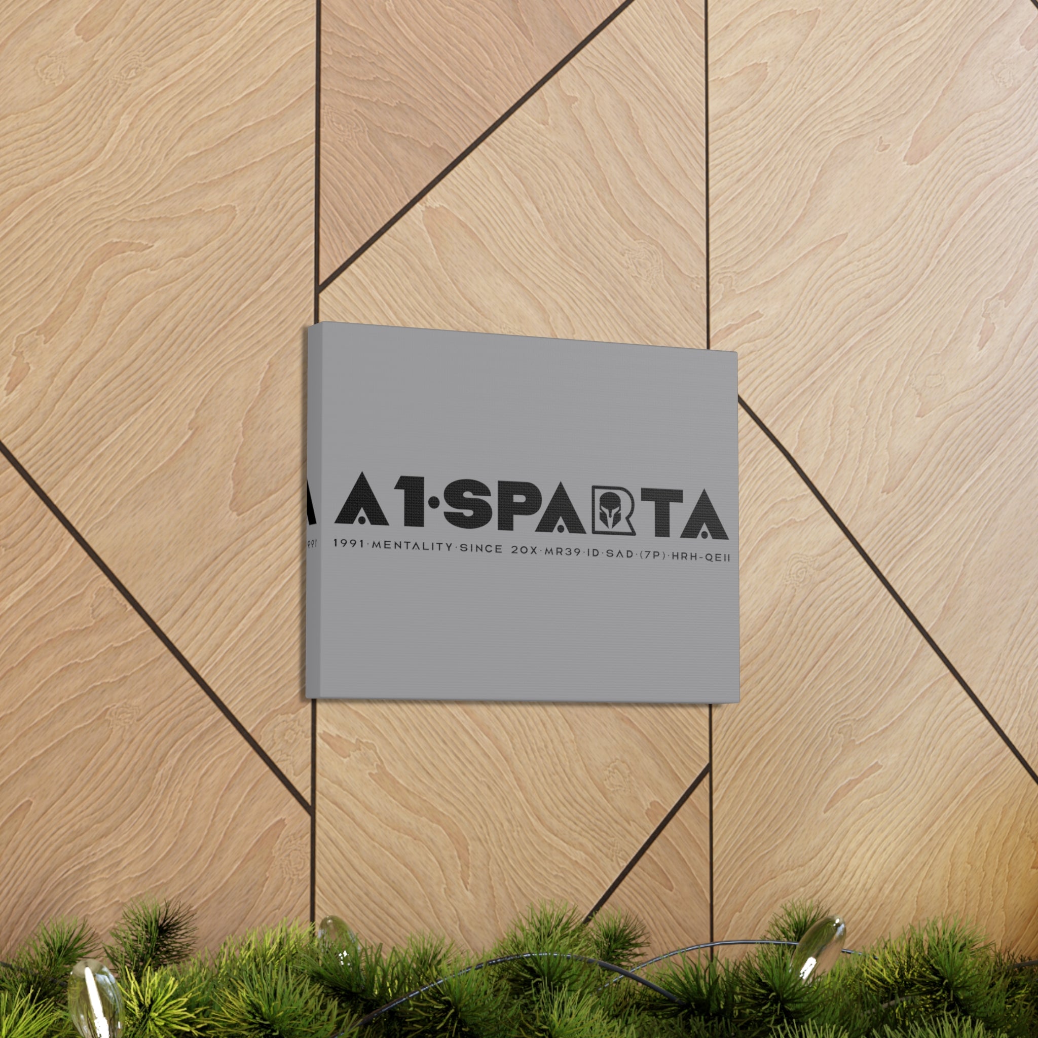 Canvas Gallery Wraps (A1•SPARTA RANGE)