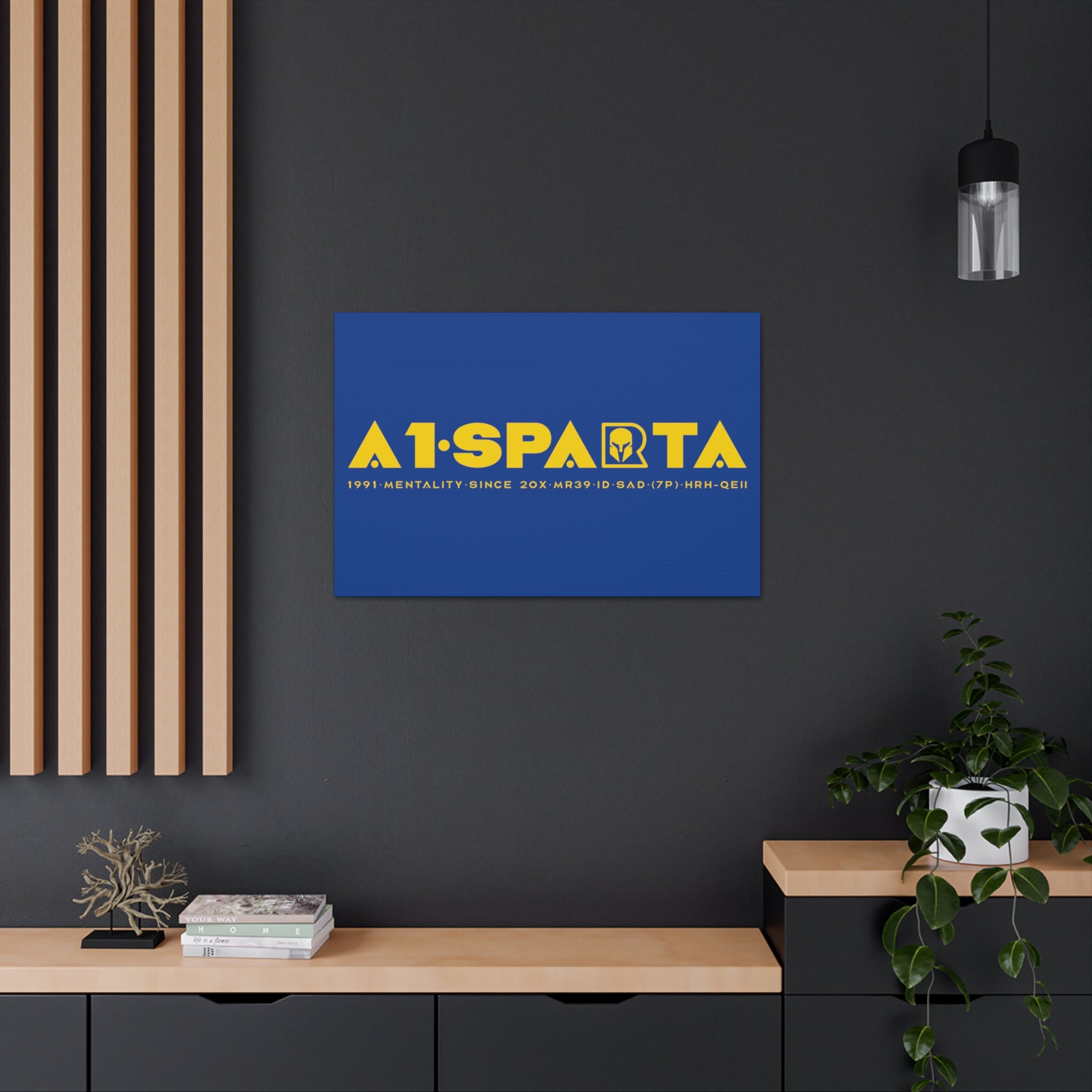 Canvas Gallery Wraps (A1•SPARTA RANGE)