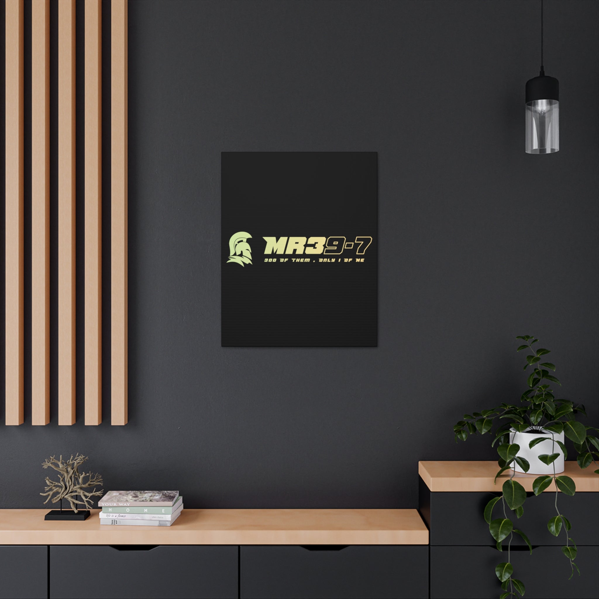 Canvas Gallery Wraps (A1•SPARTA RANGE)