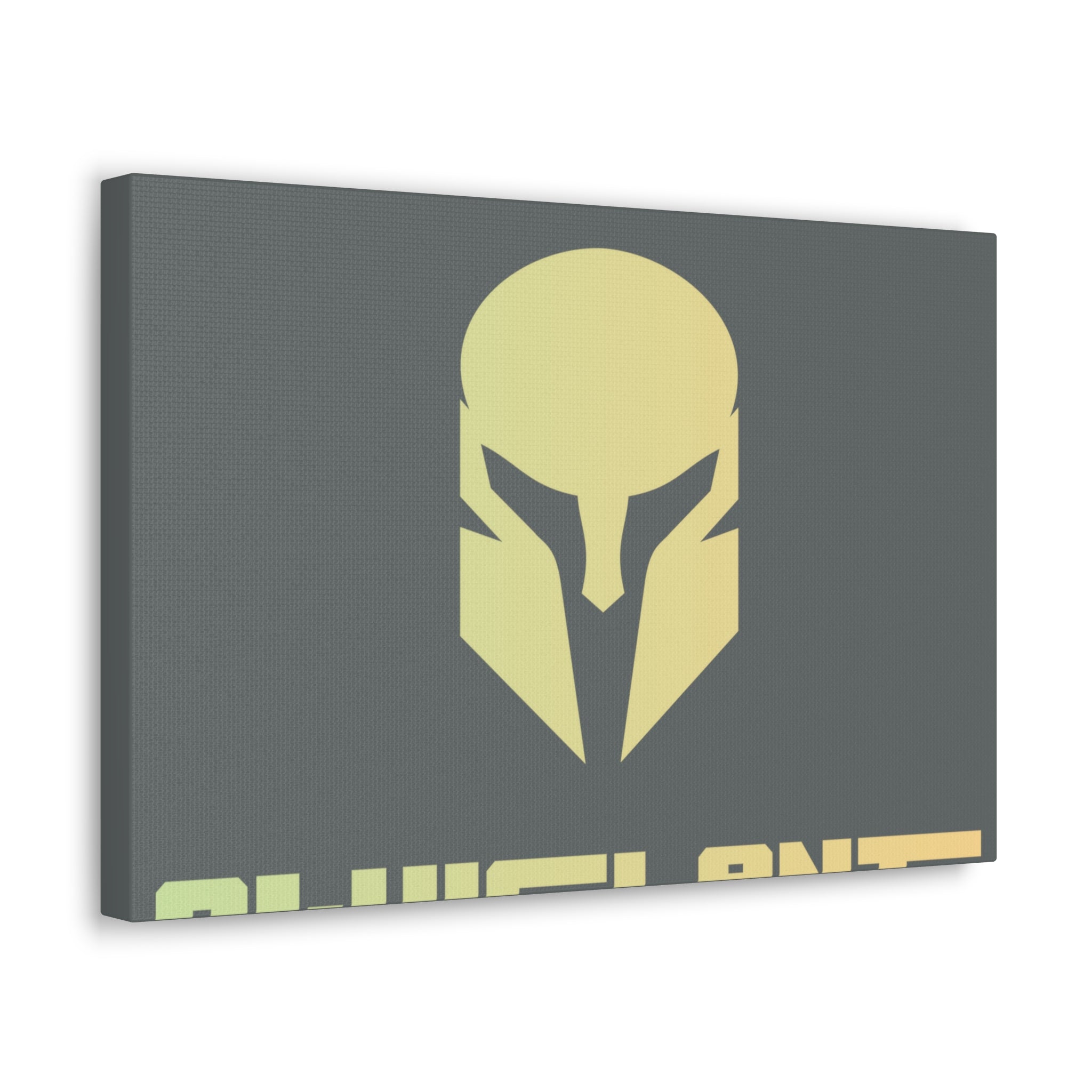 Canvas Gallery Wraps (VIGILANTE RANGE)