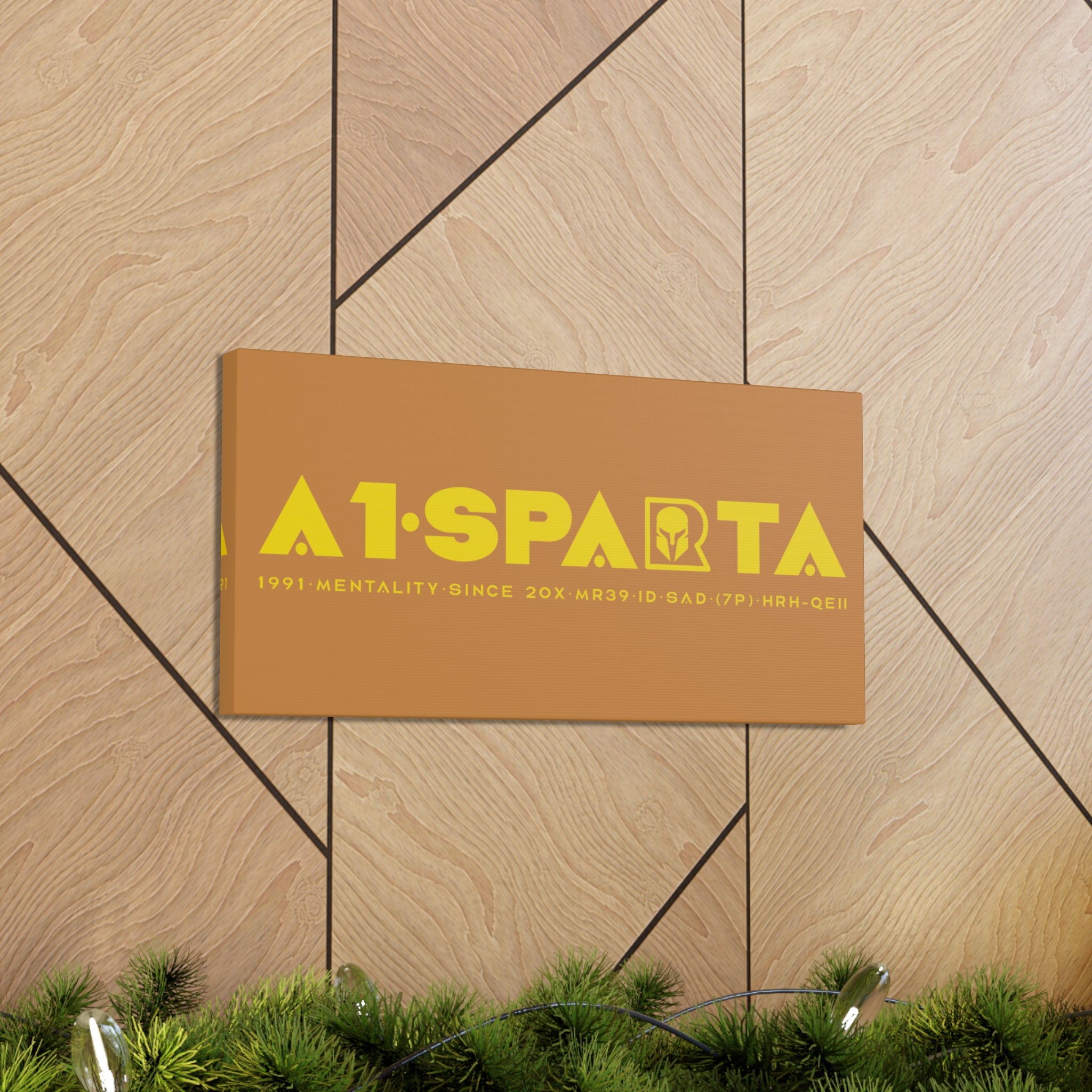 Canvas Gallery Wraps (A1•SPARTA RANGE)