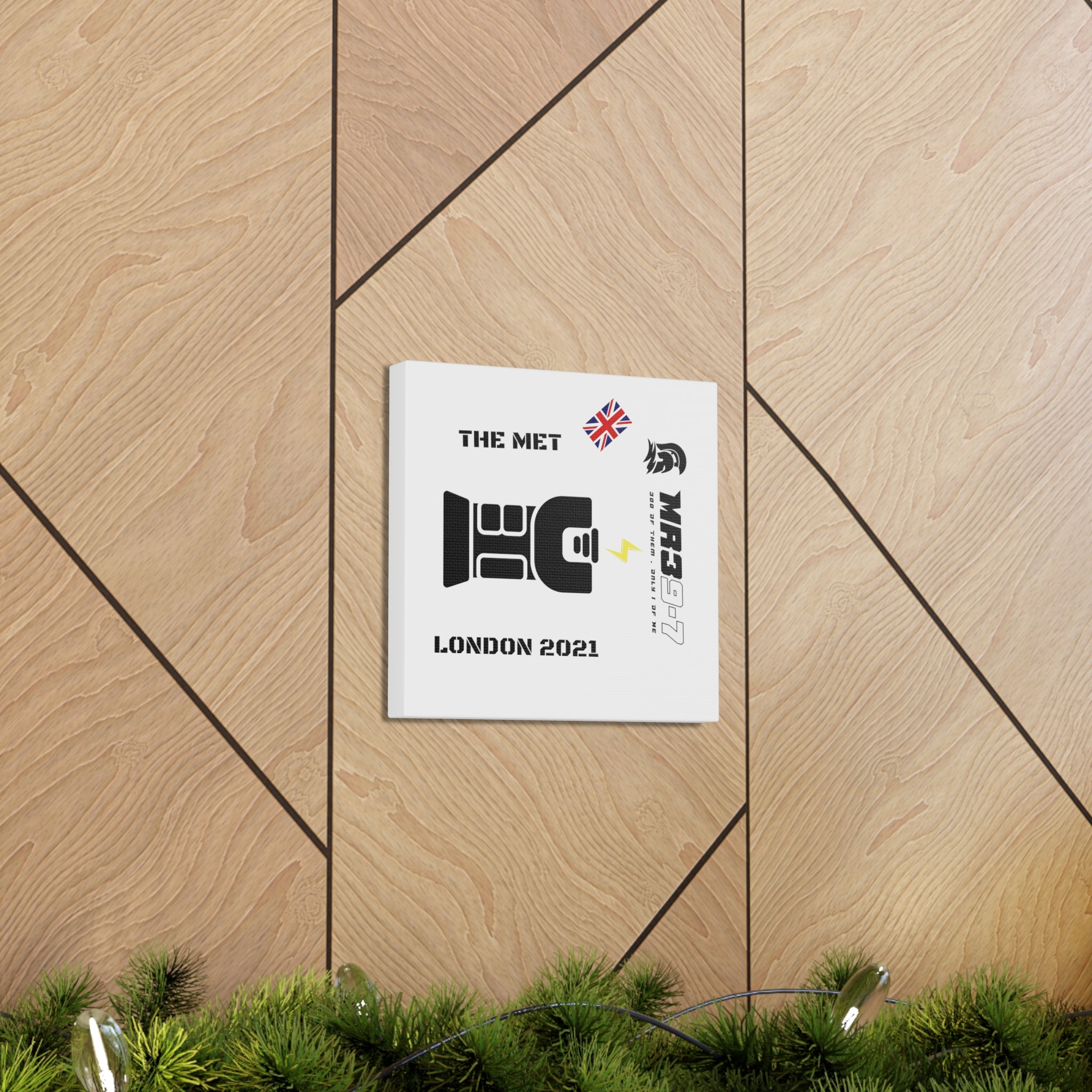 Copy of Canvas Gallery Wraps MR 39 Tasered by The MET 2021