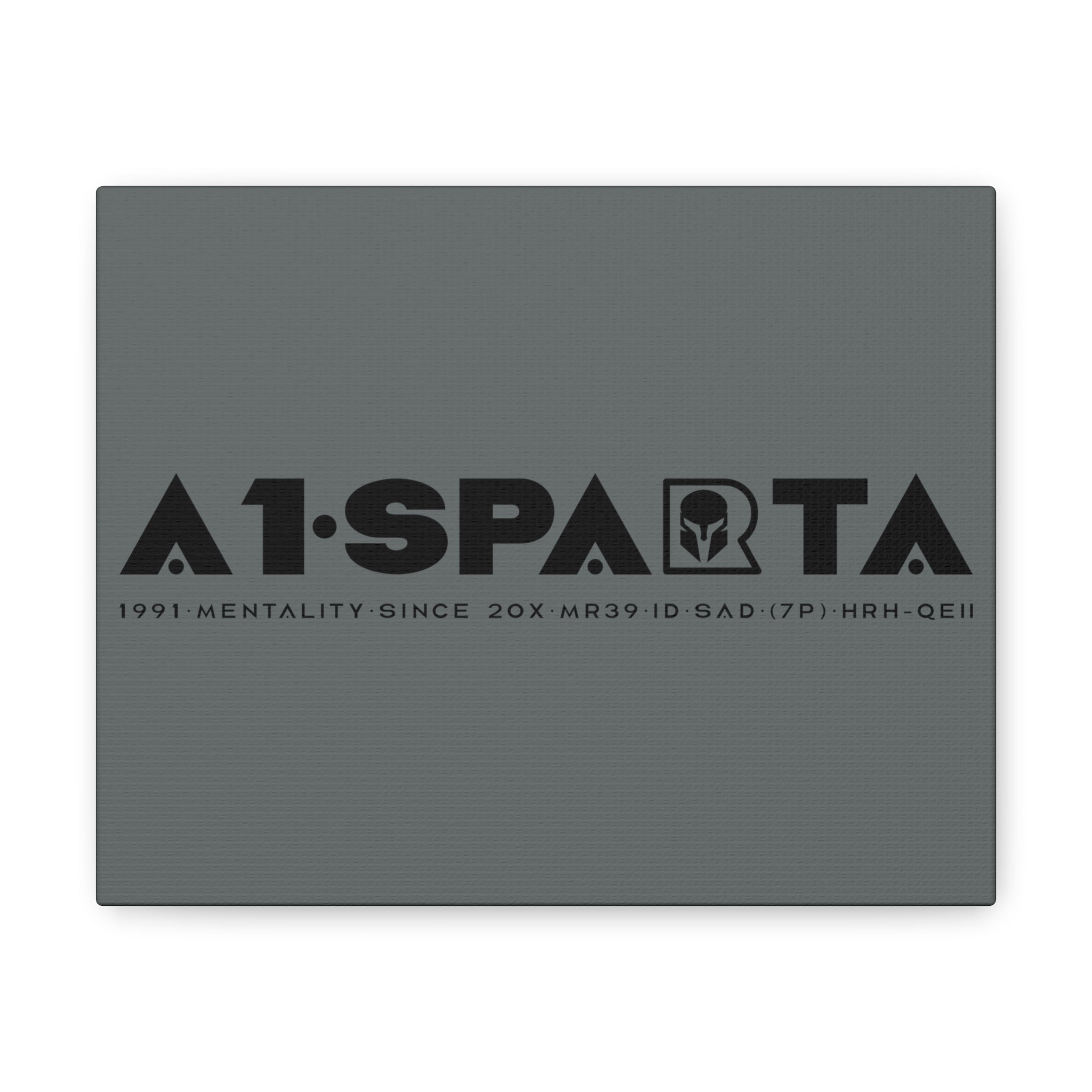 Canvas Gallery Wraps (A1•SPARTA RANGE)