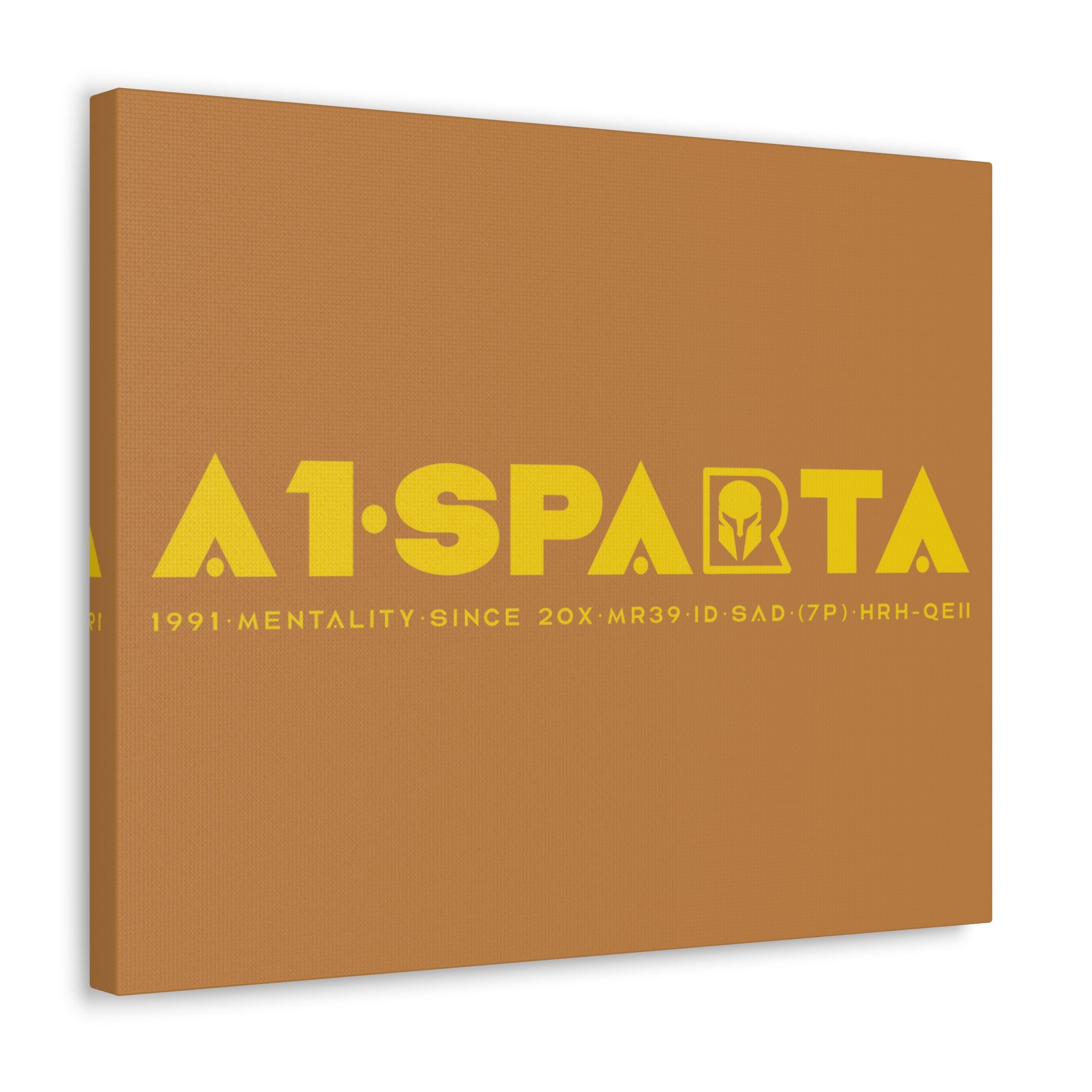 Canvas Gallery Wraps (A1•SPARTA RANGE)