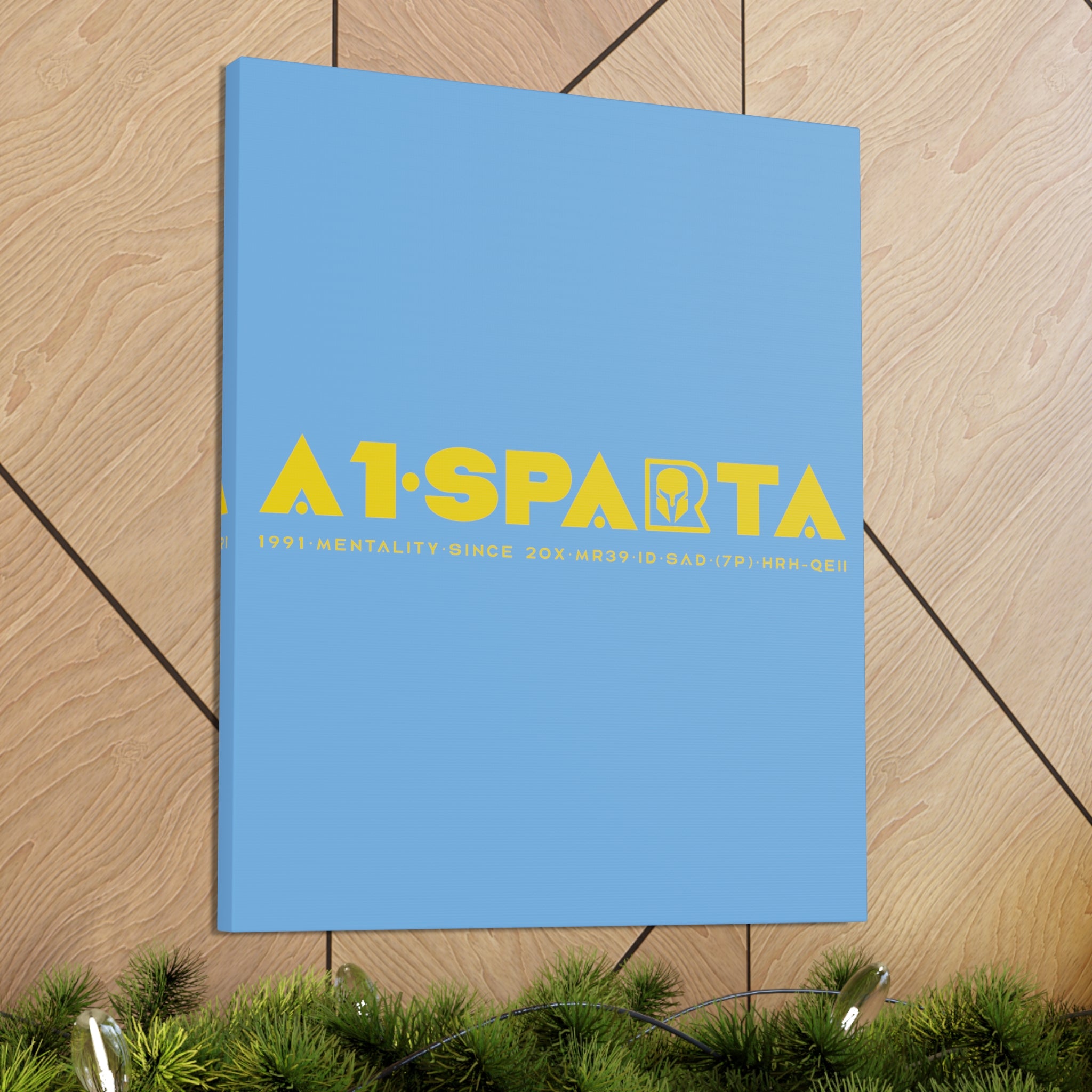 Canvas Gallery Wraps (A1•SPARTA RANGE)