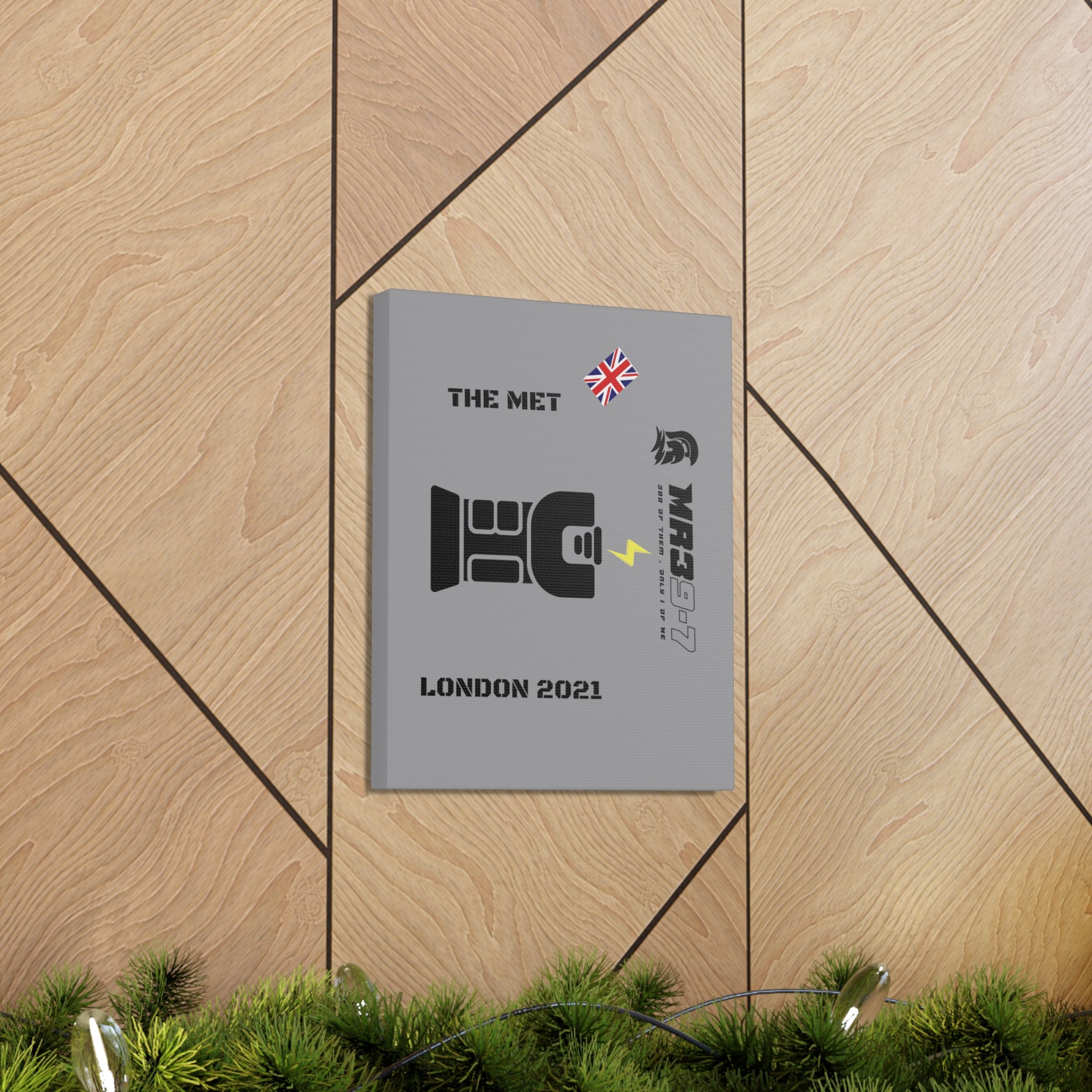 Copy of Canvas Gallery Wraps MR 39 Tasered by The MET 2021