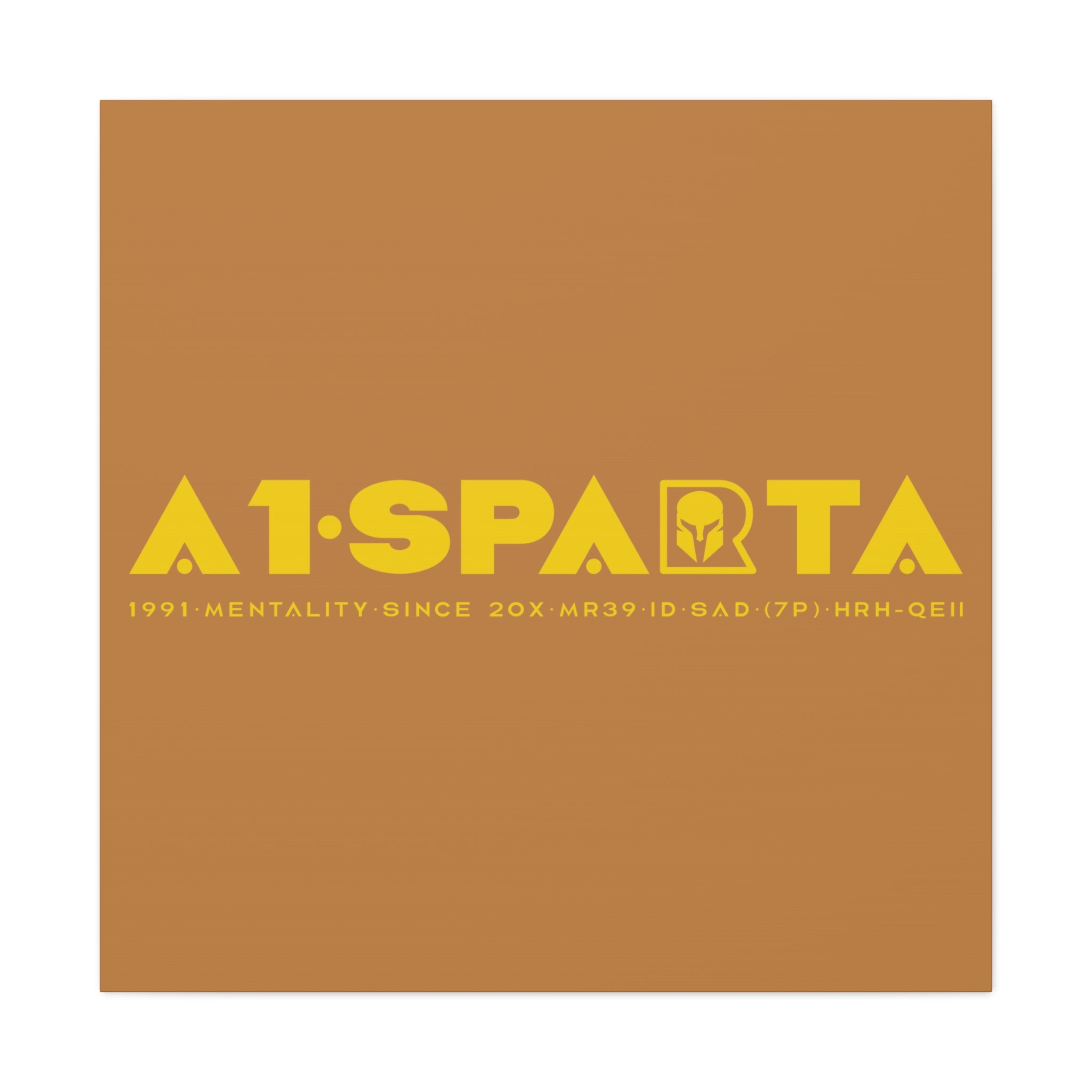 Canvas Gallery Wraps (A1•SPARTA RANGE)