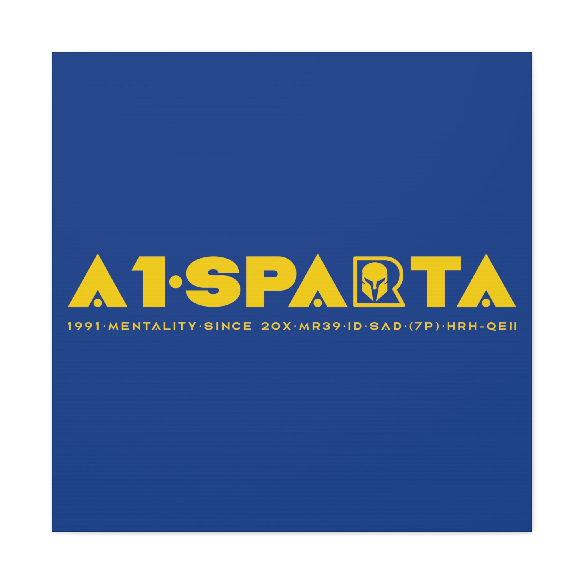 Canvas Gallery Wraps (A1•SPARTA RANGE)