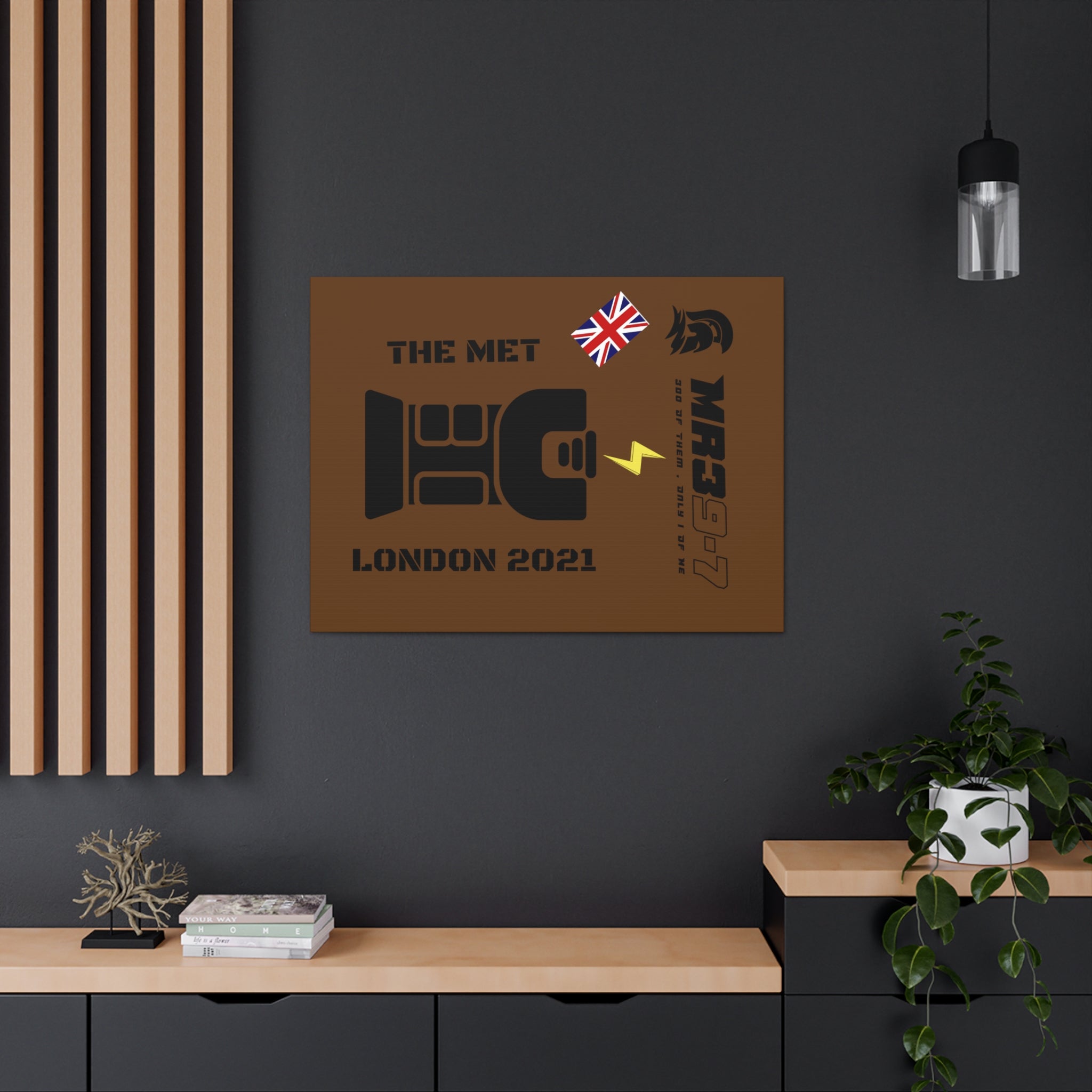 Canvas Gallery Wraps MR 39 Tasered by The MET 2021