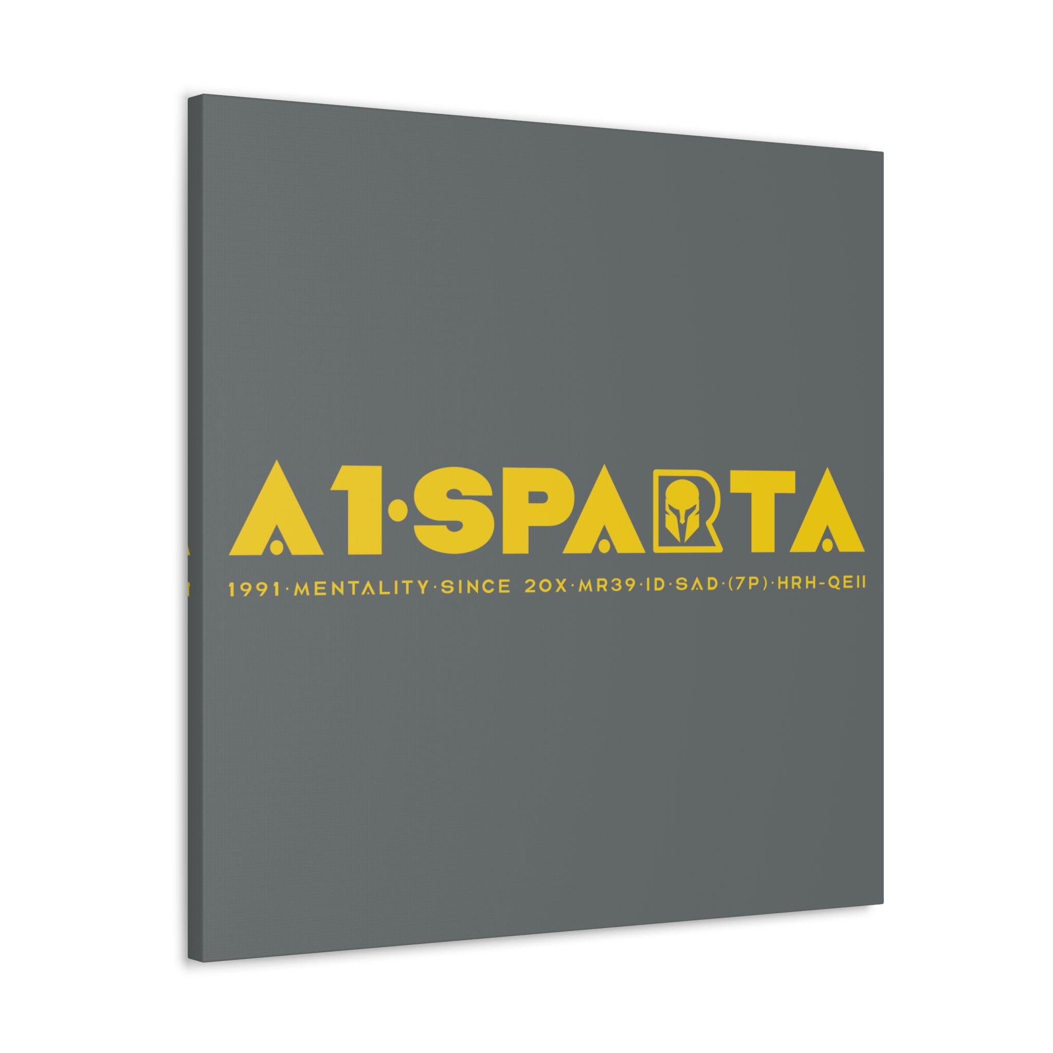 Canvas Gallery Wraps (A1•SPARTA RANGE)