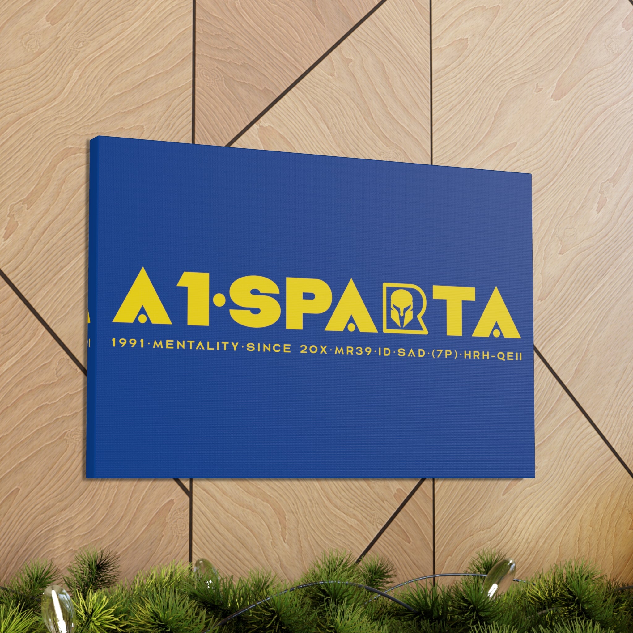 Canvas Gallery Wraps (A1•SPARTA RANGE)