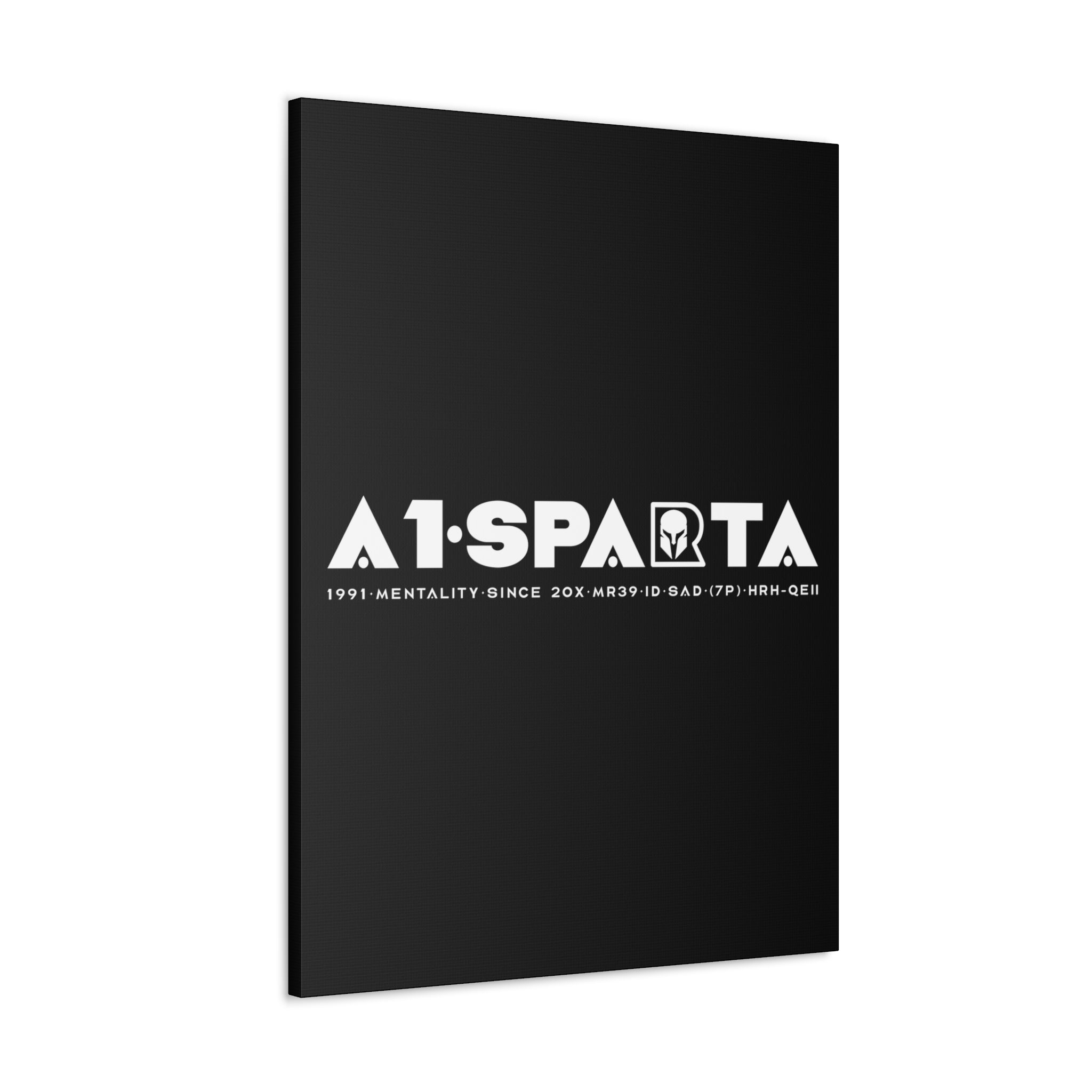 Canvas Gallery Wraps (A1•SPARTA RANGE)