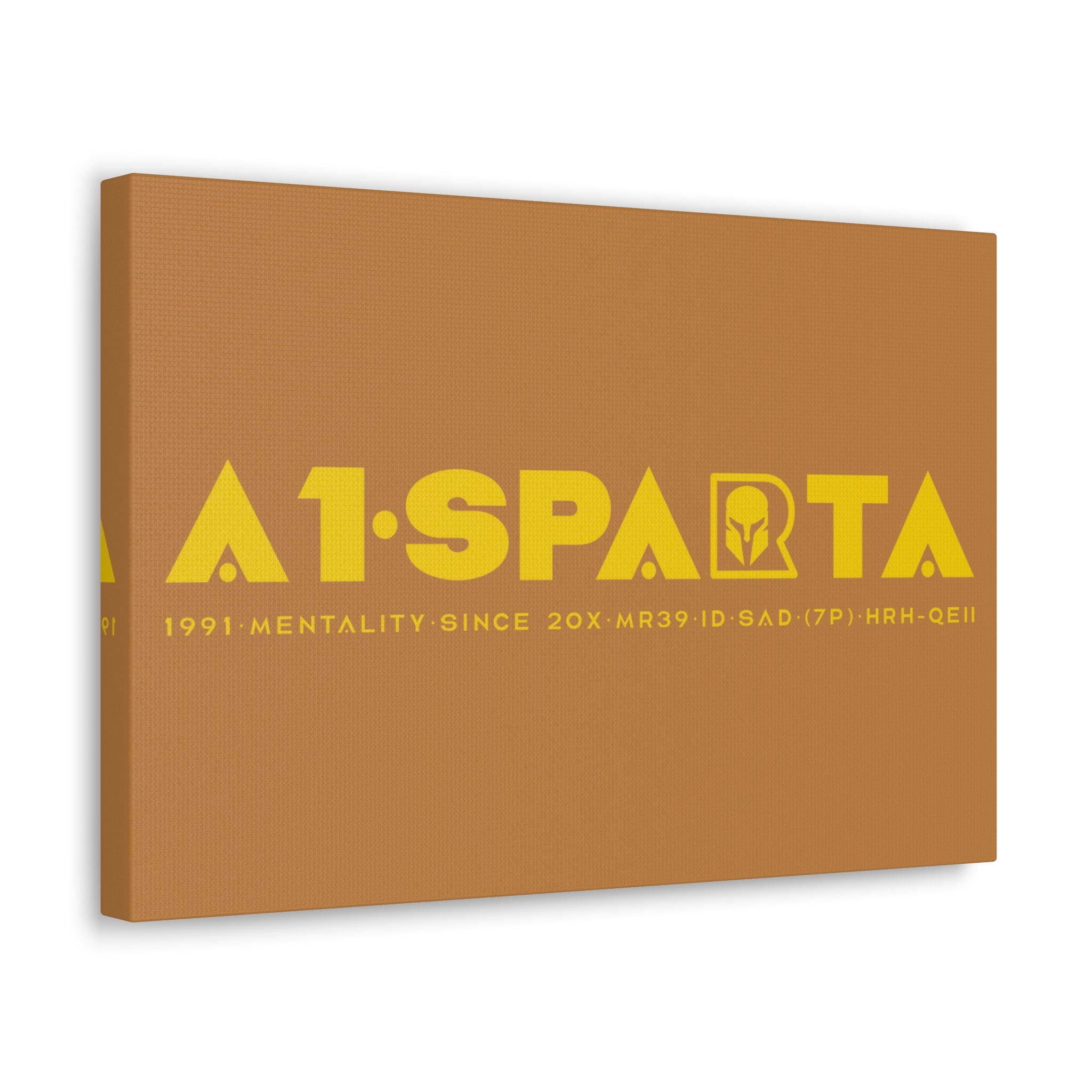 Canvas Gallery Wraps (A1•SPARTA RANGE)