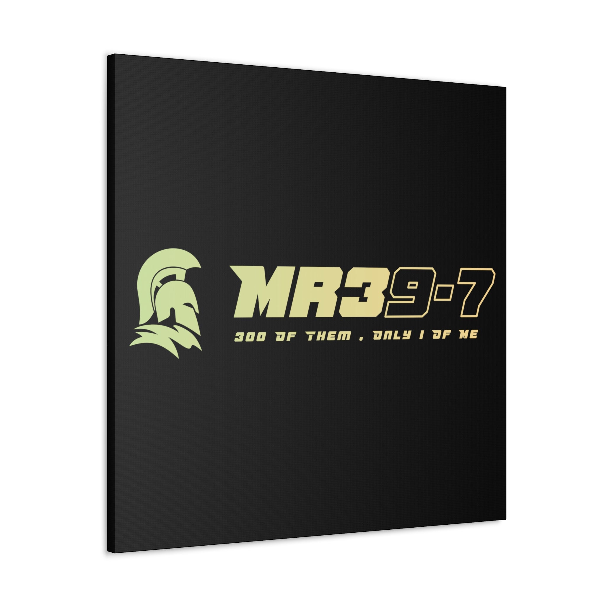 Canvas Gallery Wraps (A1•SPARTA RANGE)