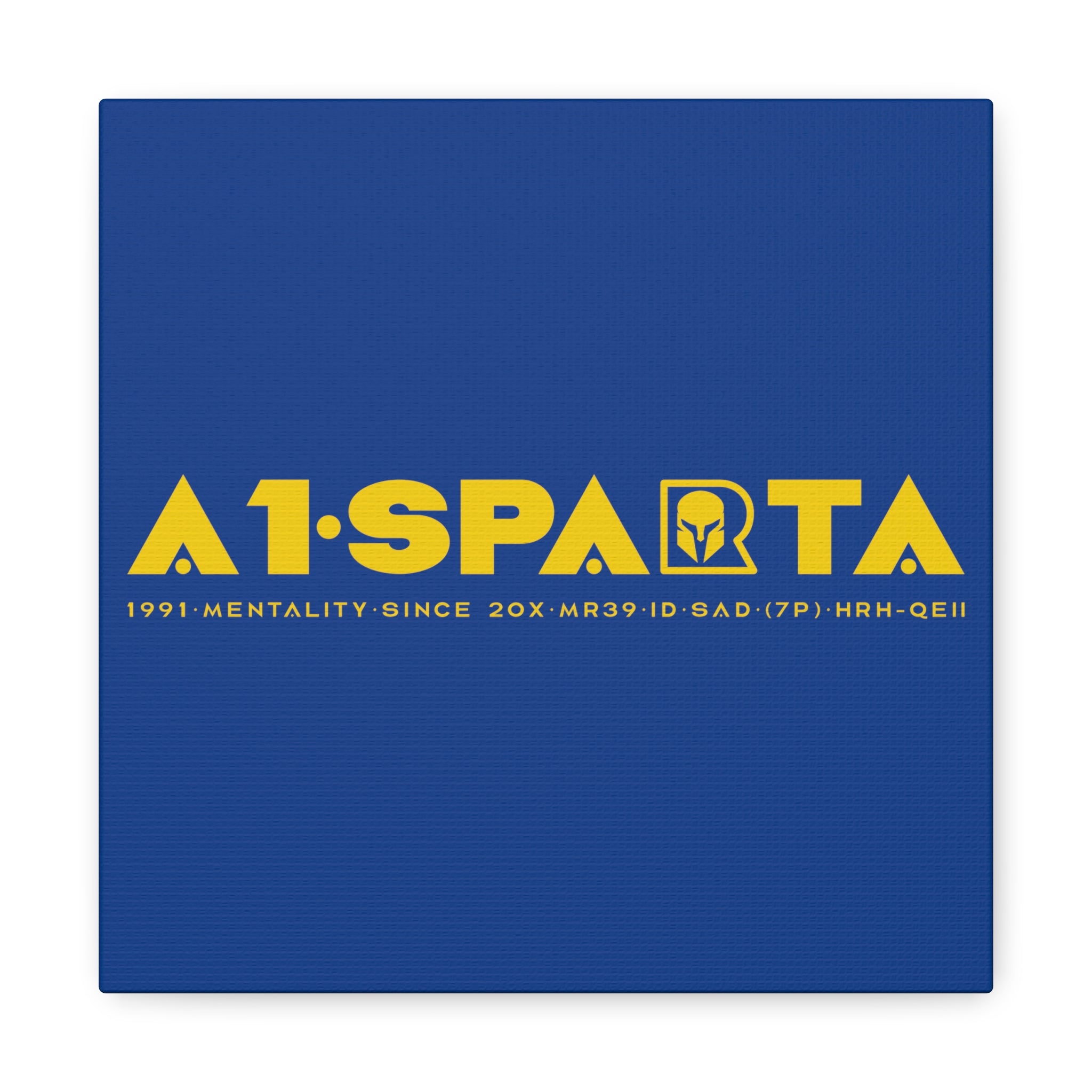 Canvas Gallery Wraps (A1•SPARTA RANGE)