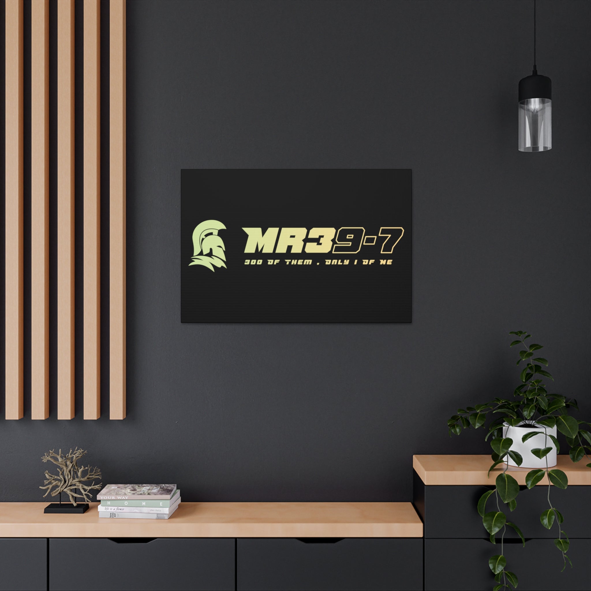 Canvas Gallery Wraps (A1•SPARTA RANGE)