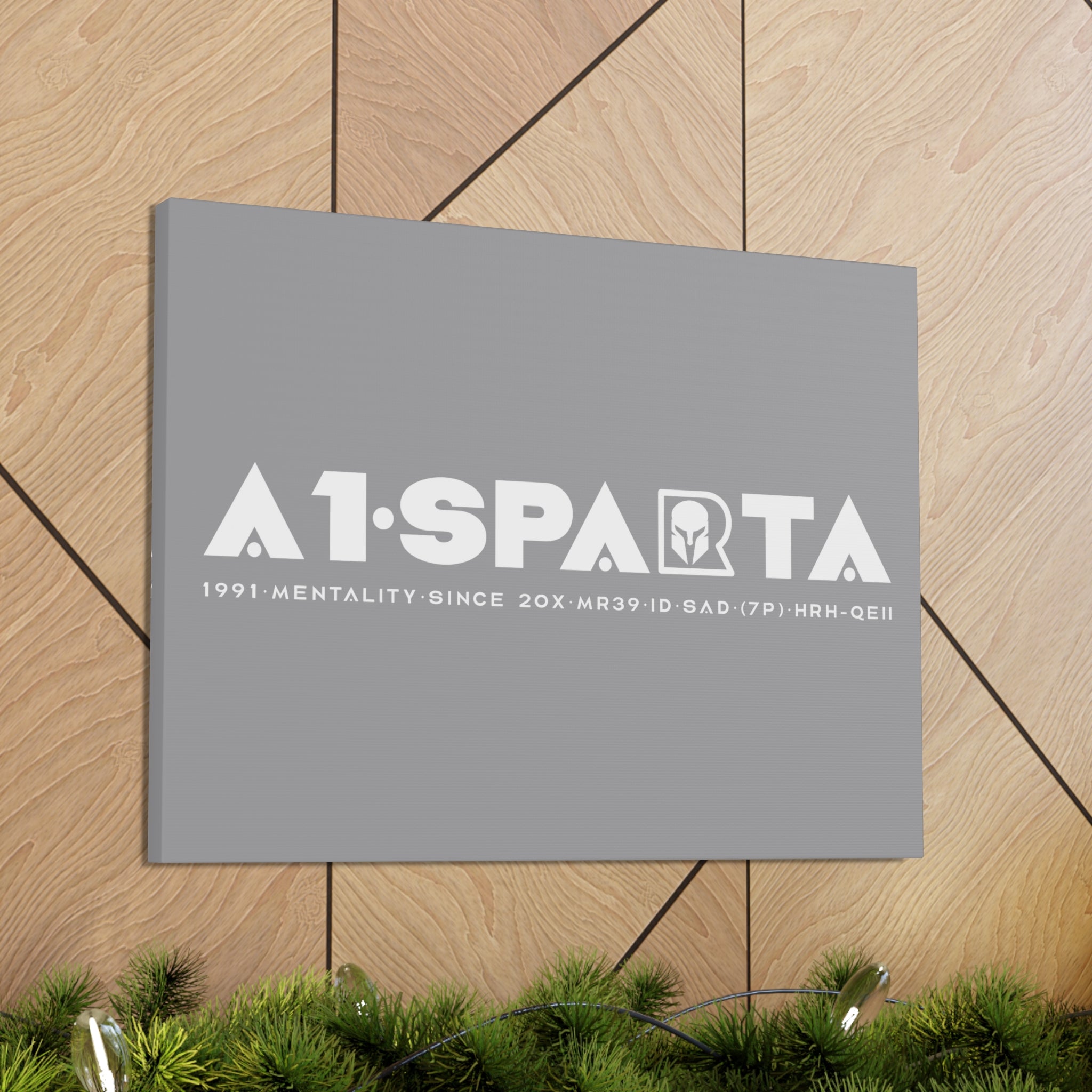 Canvas Gallery Wraps (A1•SPARTA RANGE)