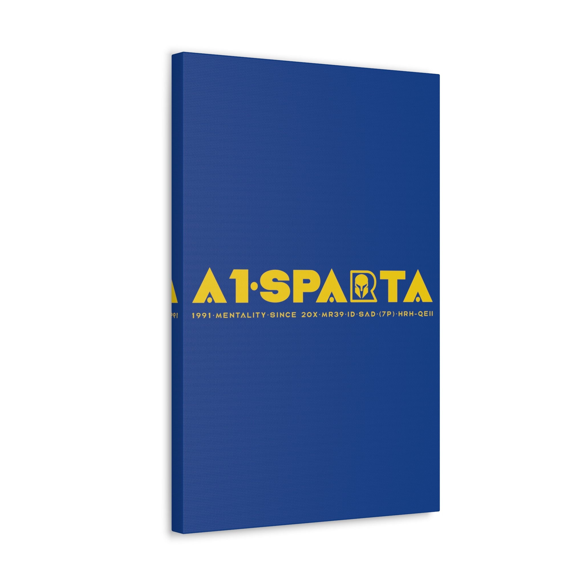 Canvas Gallery Wraps (A1•SPARTA RANGE)