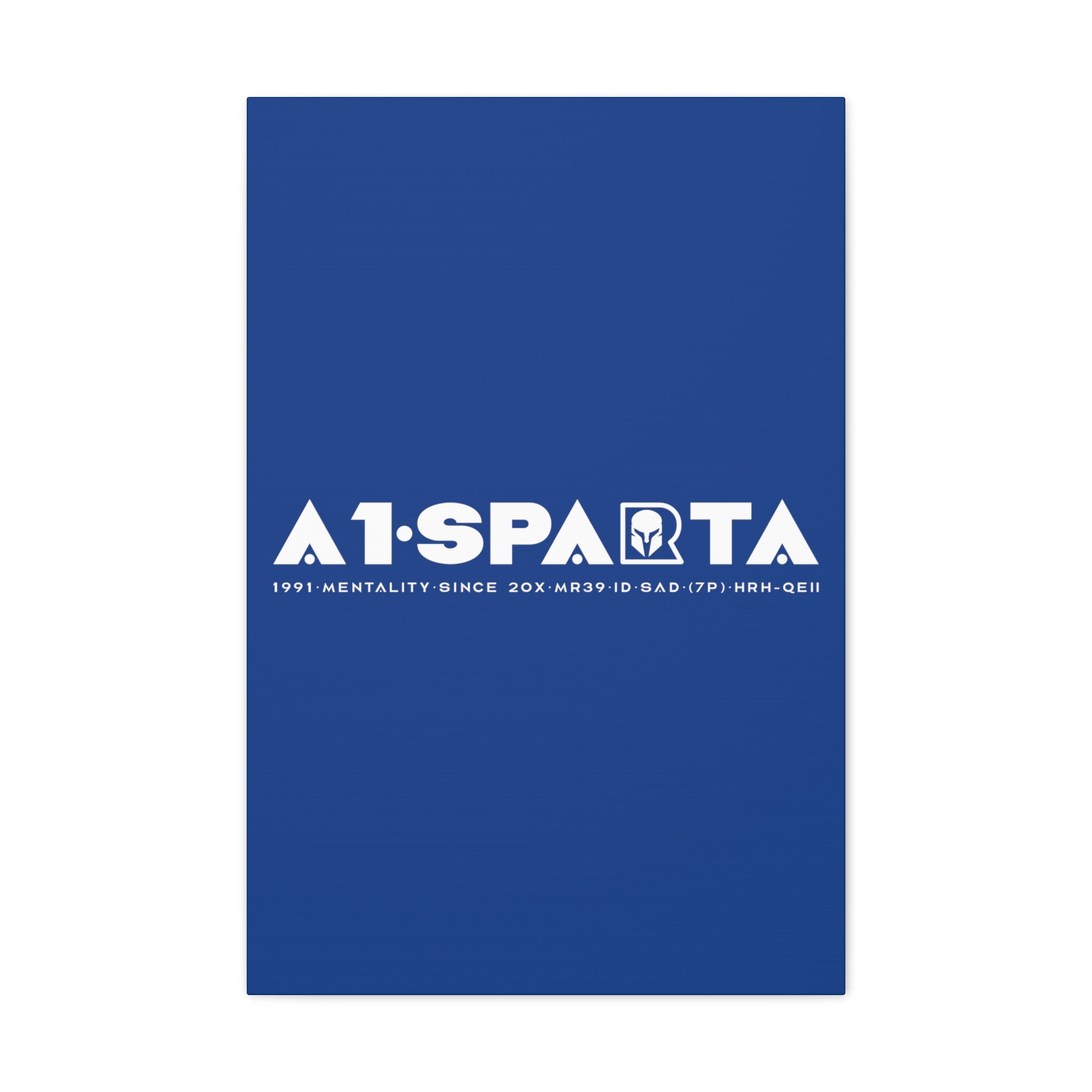 Canvas Gallery Wraps (A1•SPARTA RANGE)