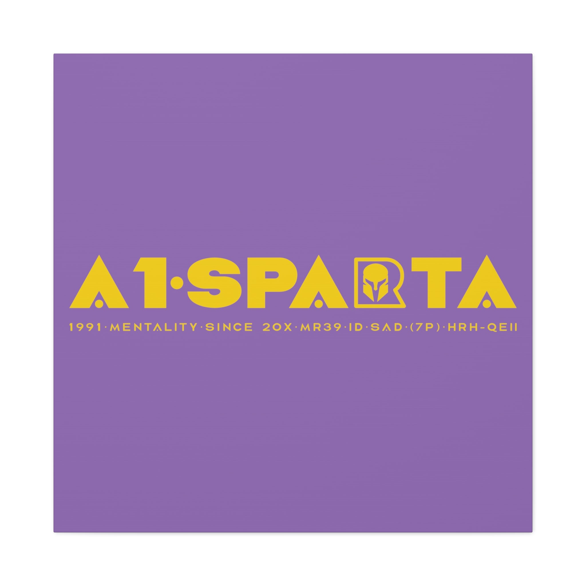 Canvas Gallery Wraps (A1•SPARTA RANGE)