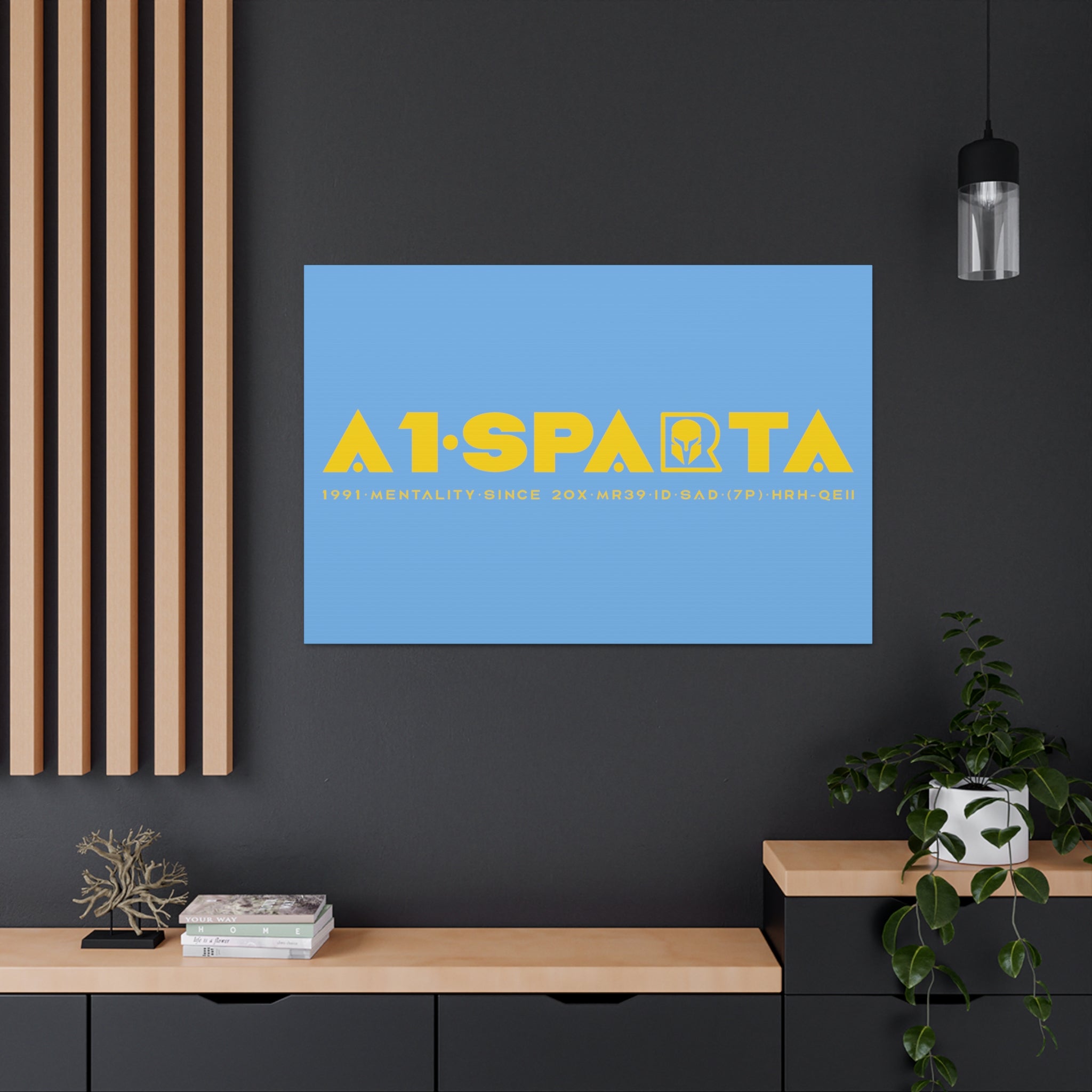 Canvas Gallery Wraps (A1•SPARTA RANGE)