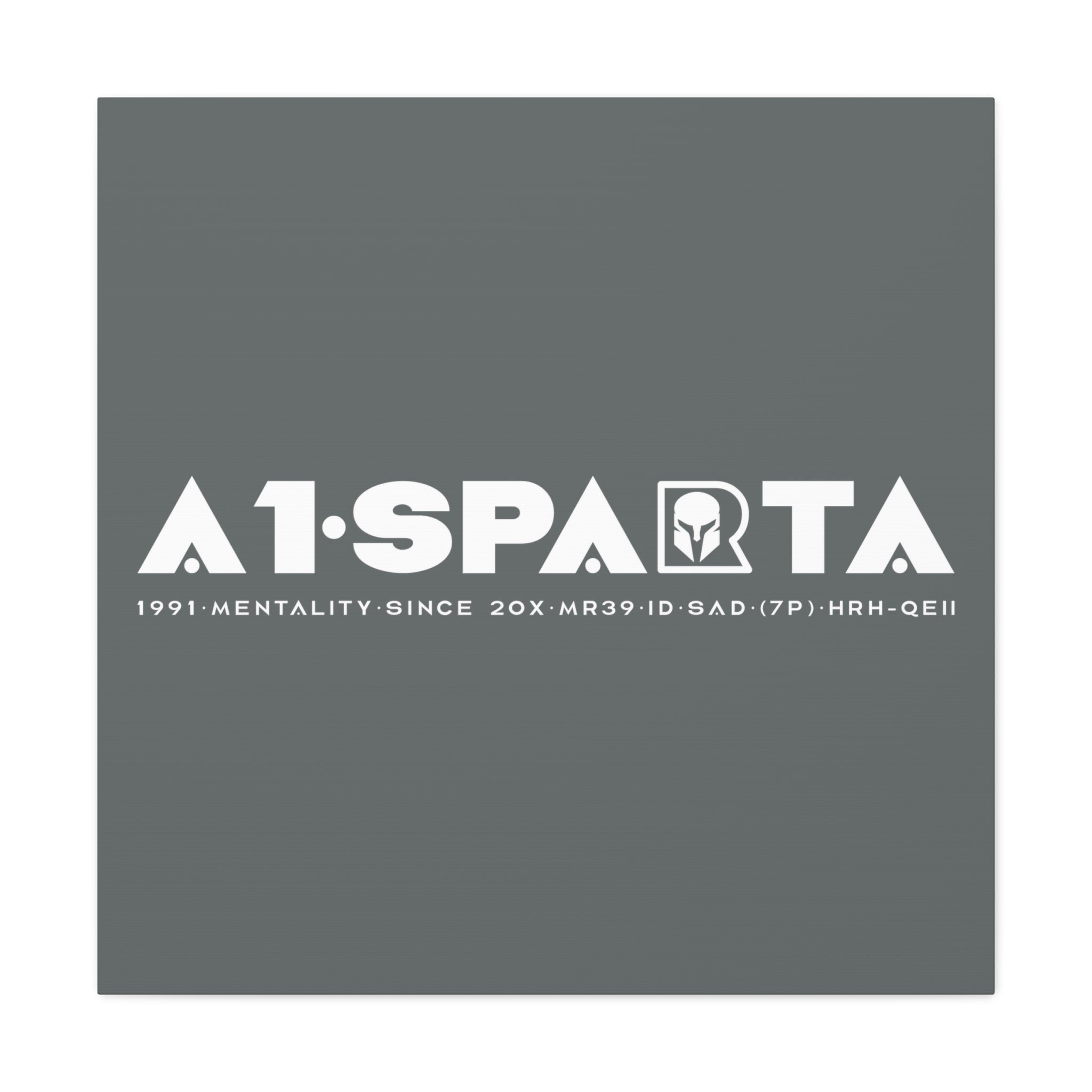 Canvas Gallery Wraps (A1•SPARTA RANGE)