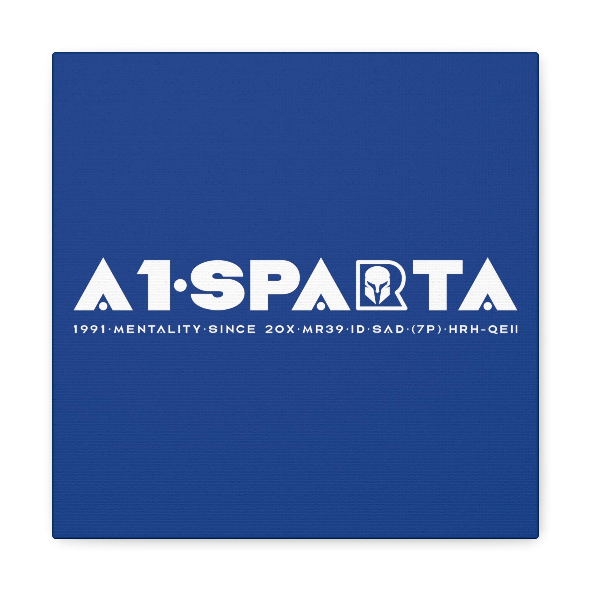 Canvas Gallery Wraps (A1•SPARTA RANGE)