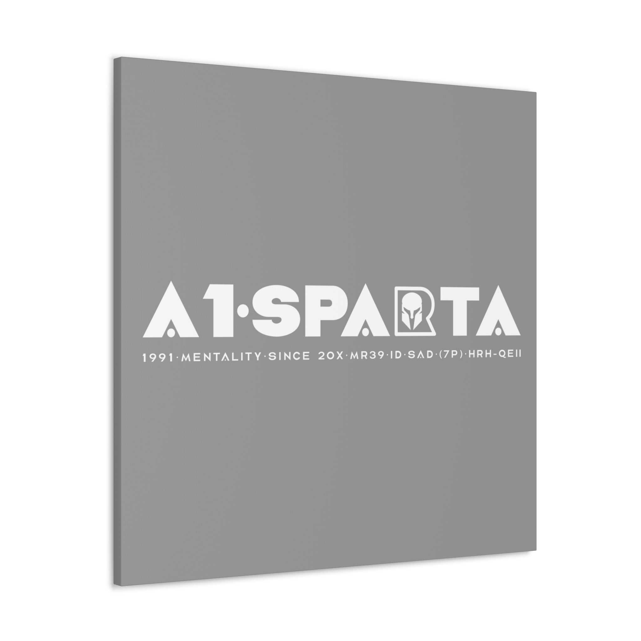 Canvas Gallery Wraps (A1•SPARTA RANGE)