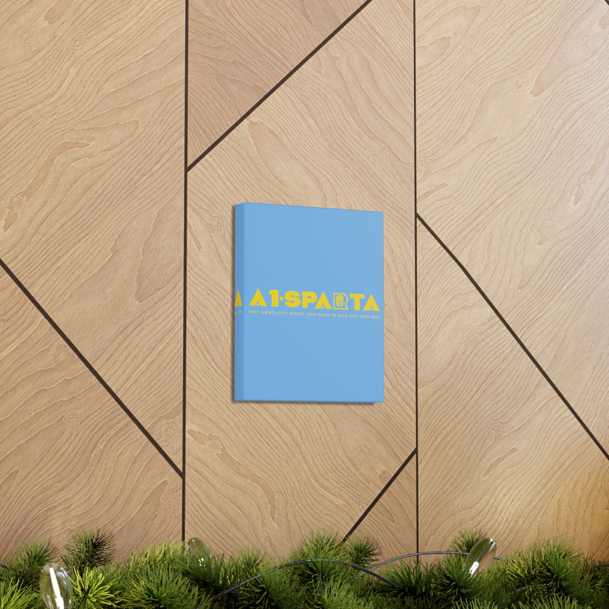 Canvas Gallery Wraps (A1•SPARTA RANGE)