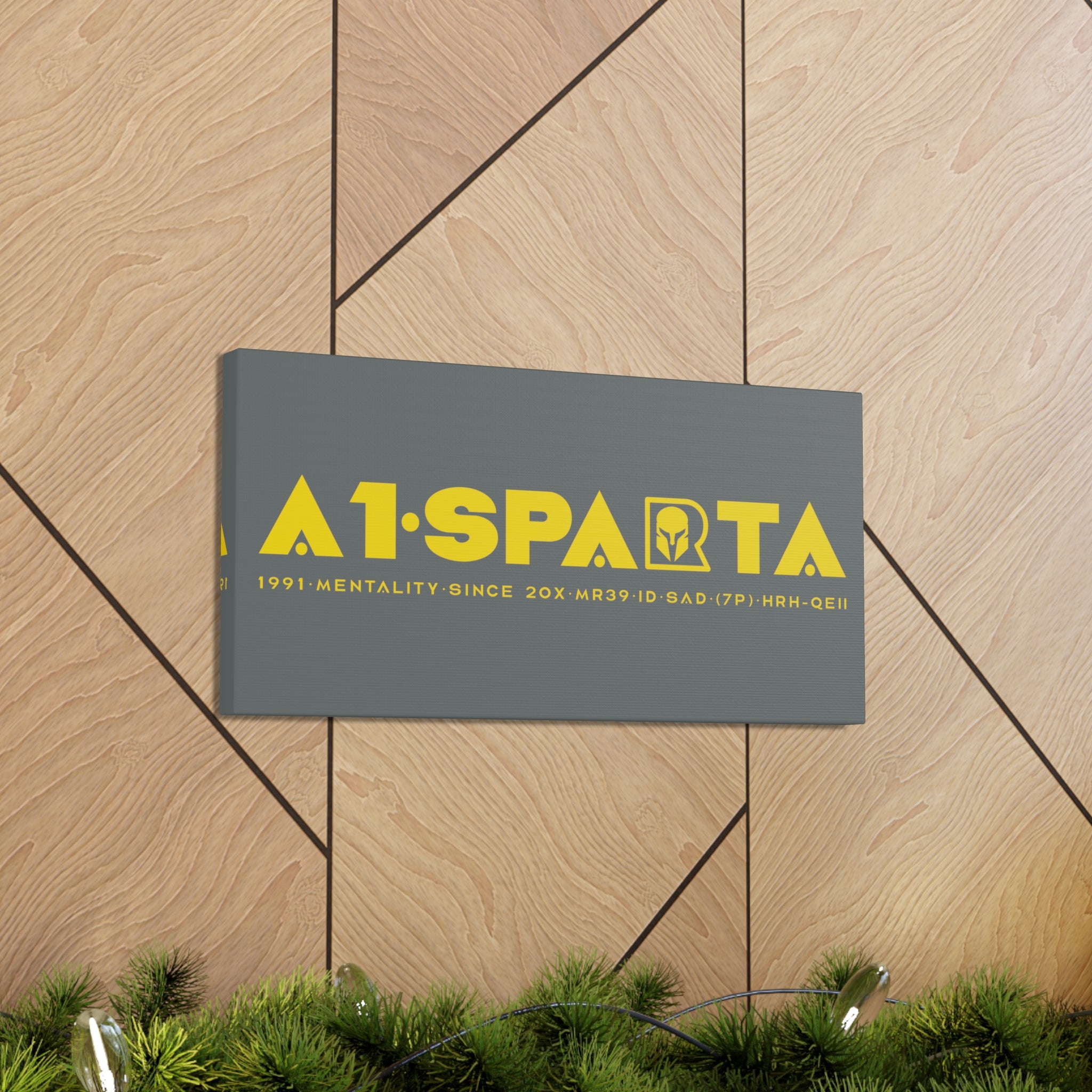 Canvas Gallery Wraps (A1•SPARTA RANGE)