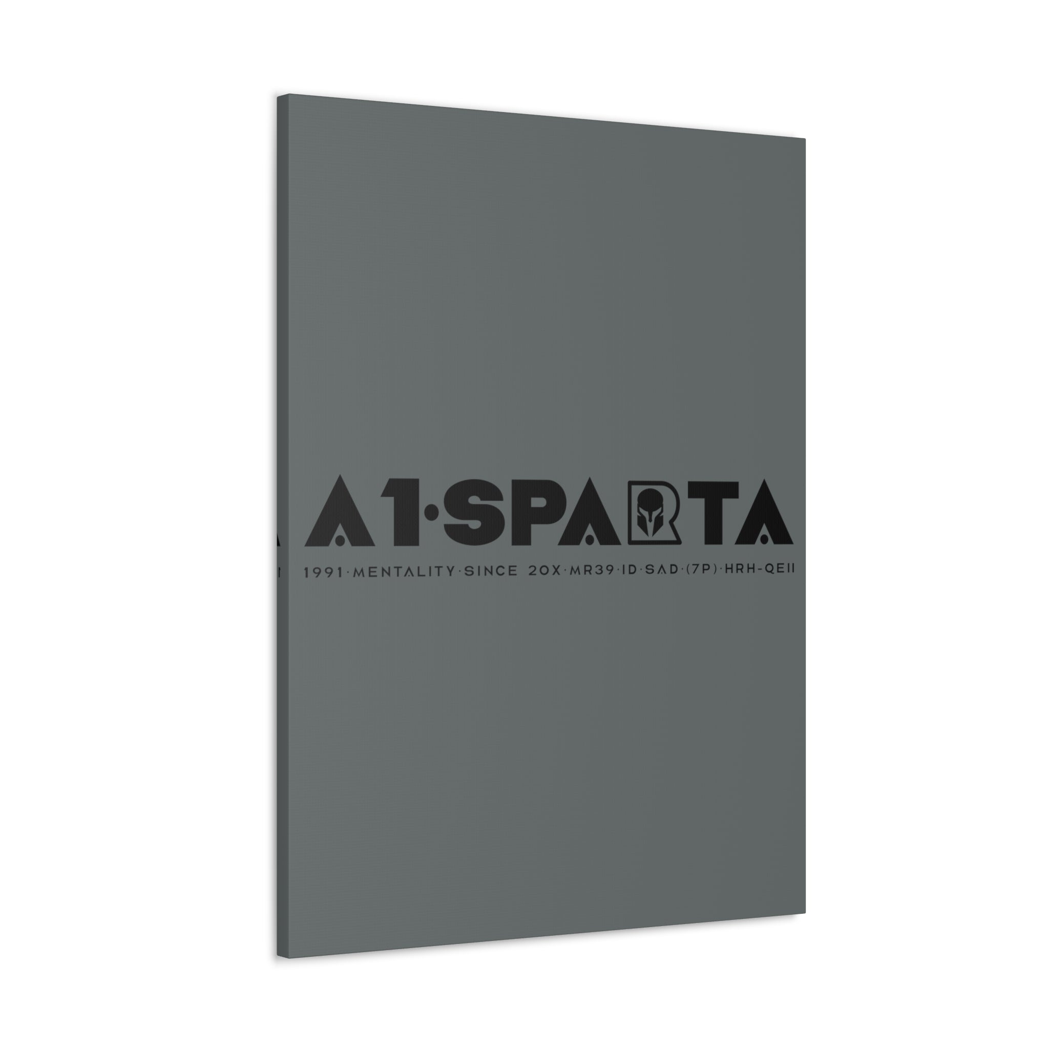 Canvas Gallery Wraps (A1•SPARTA RANGE)