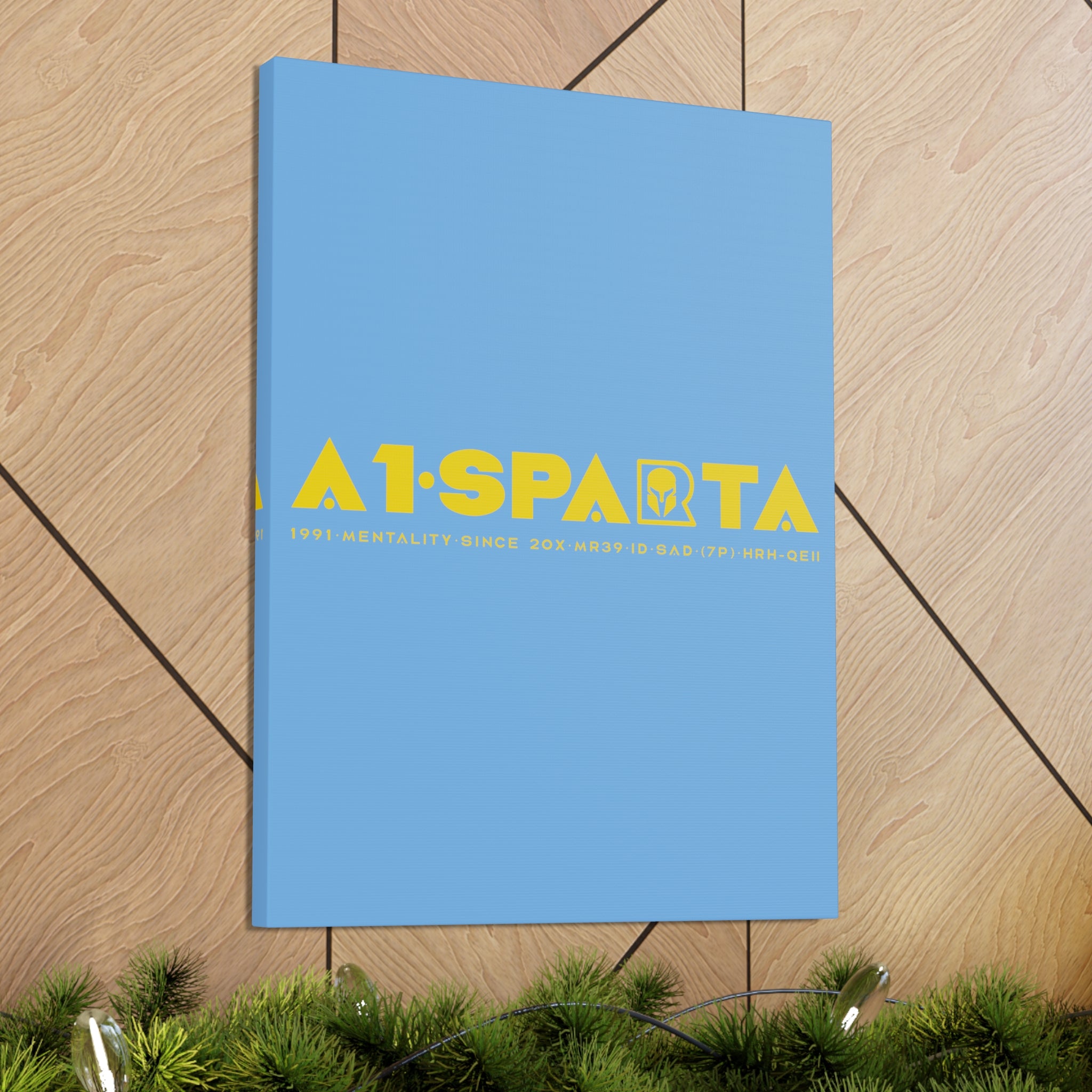 Canvas Gallery Wraps (A1•SPARTA RANGE)