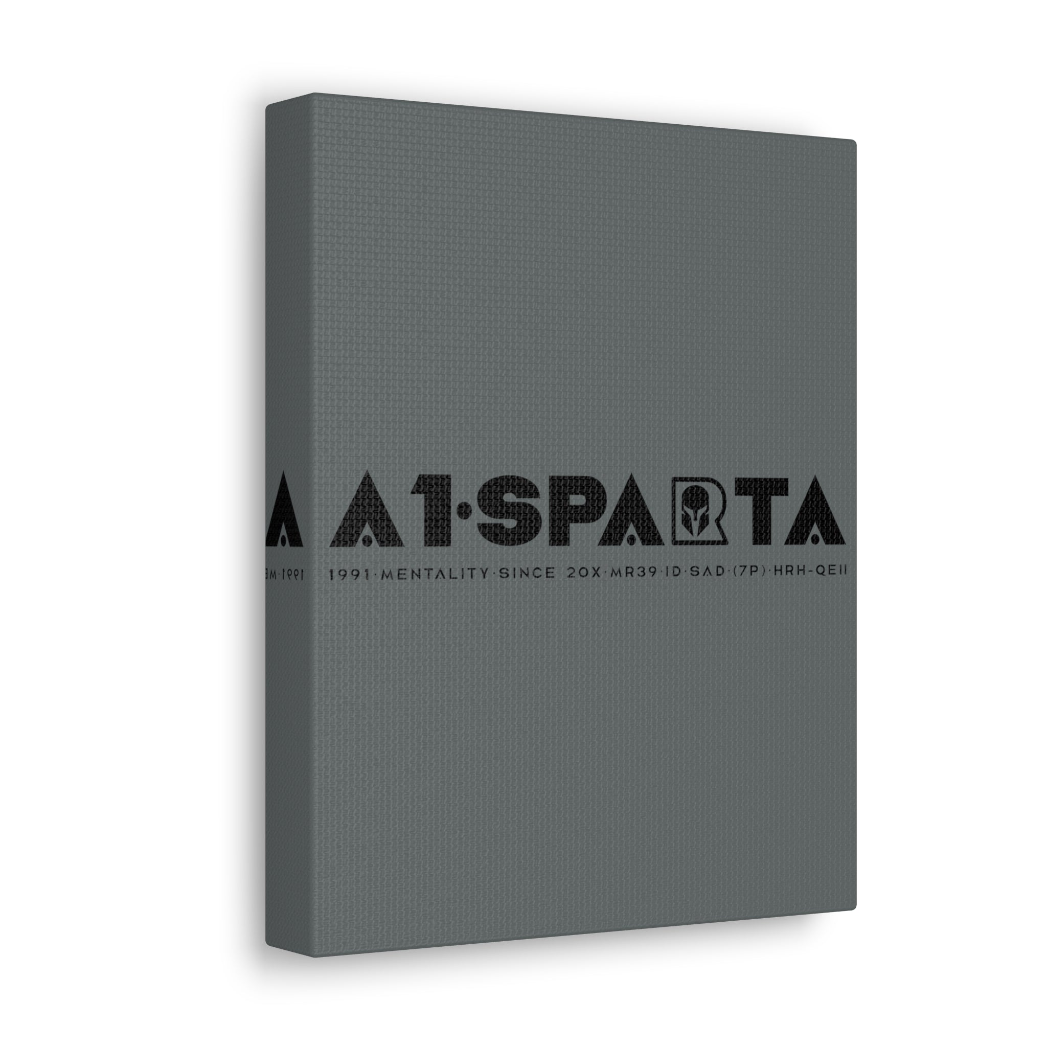 Canvas Gallery Wraps (A1•SPARTA RANGE)