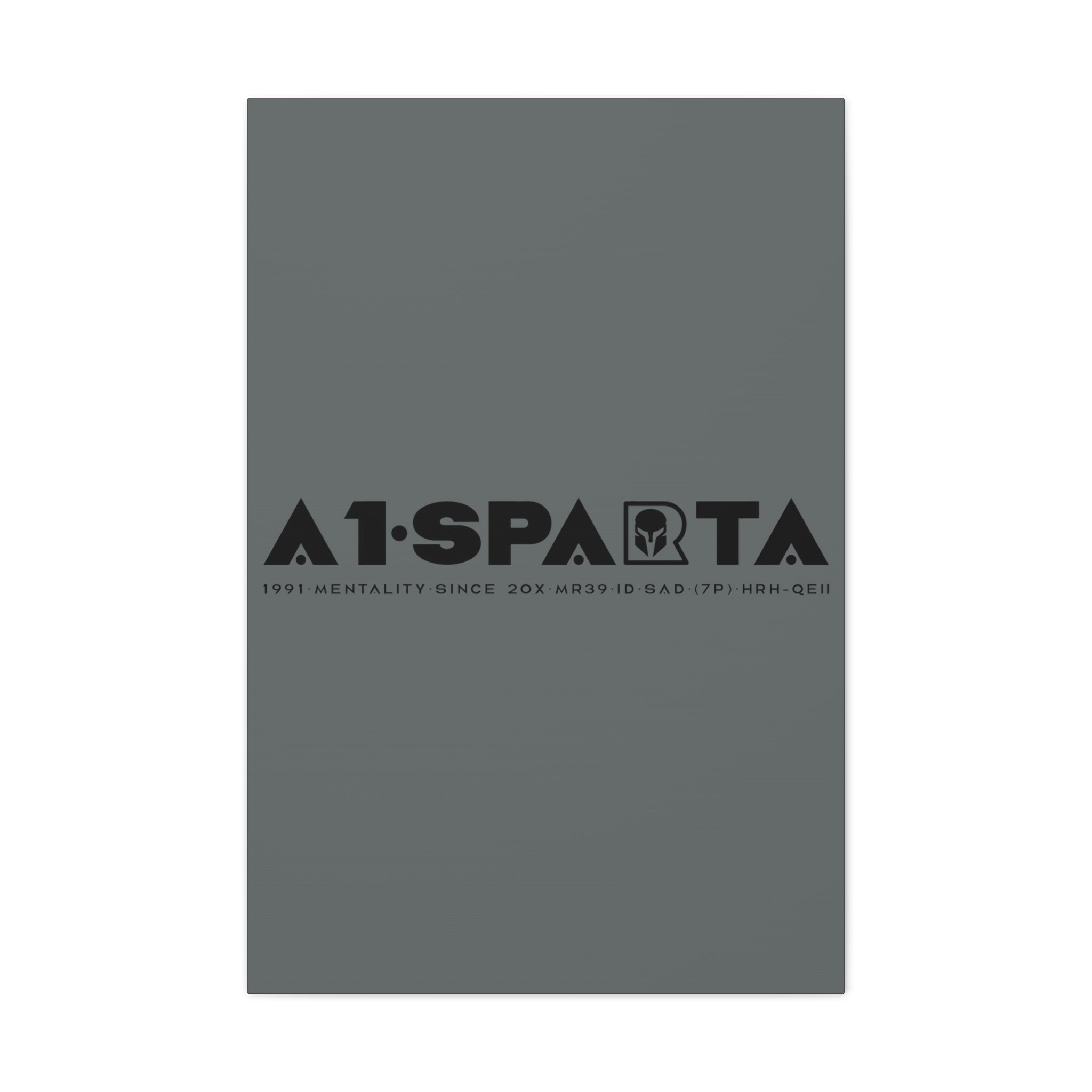 Canvas Gallery Wraps (A1•SPARTA RANGE)