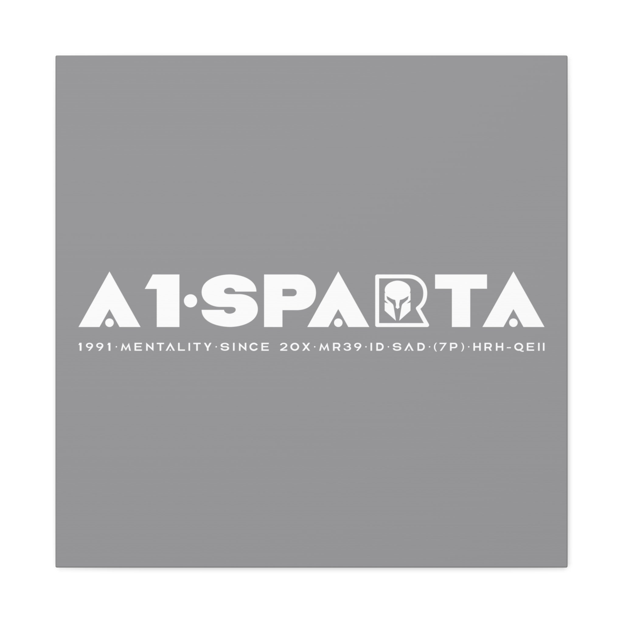 Canvas Gallery Wraps (A1•SPARTA RANGE)