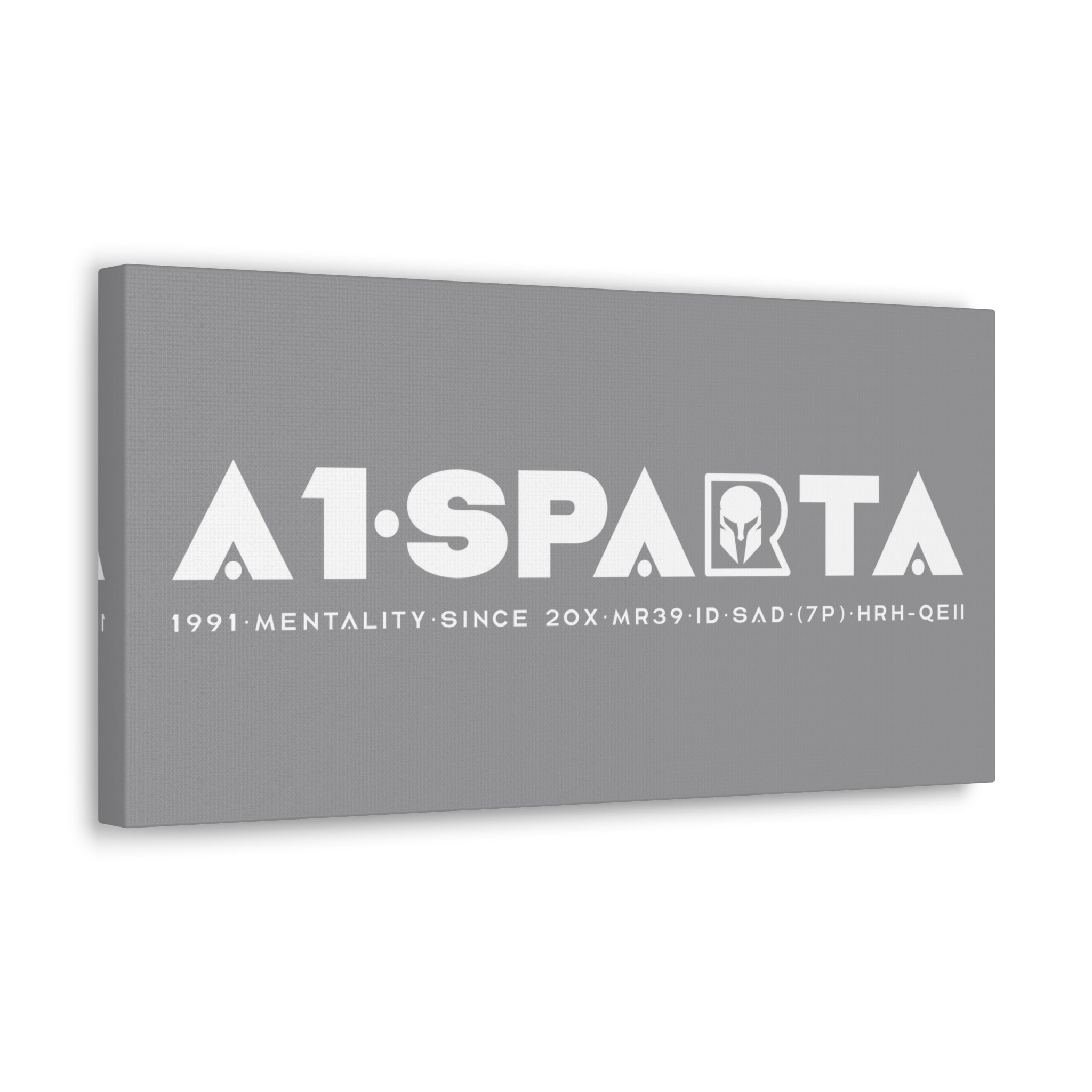 Canvas Gallery Wraps (A1•SPARTA RANGE)