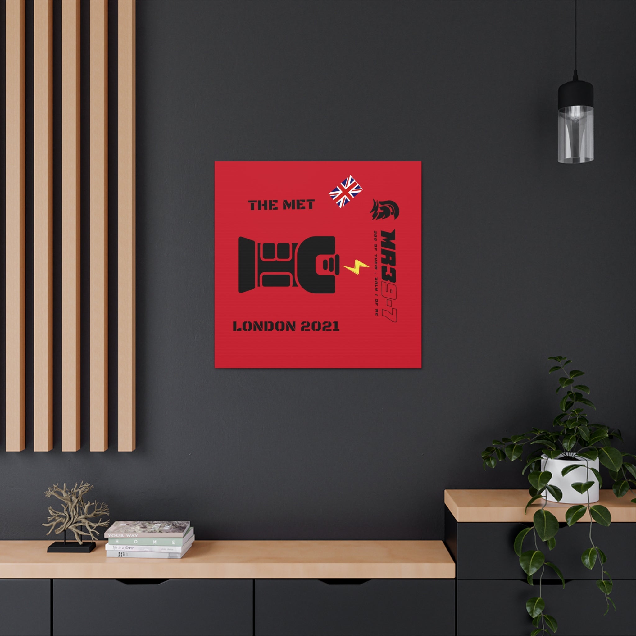 Canvas Gallery Wraps MR 39 Tasered by The MET 2021