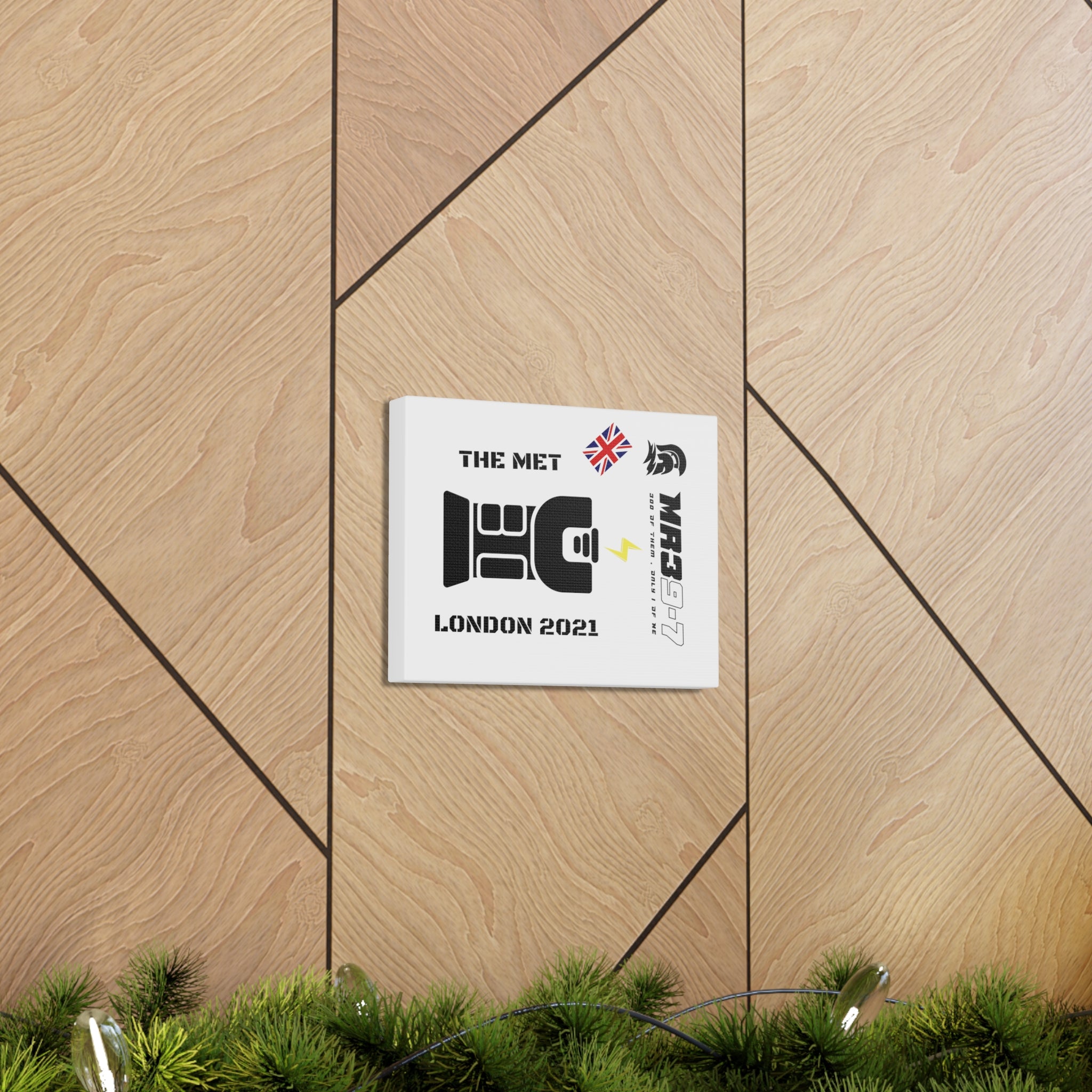 Copy of Canvas Gallery Wraps MR 39 Tasered by The MET 2021