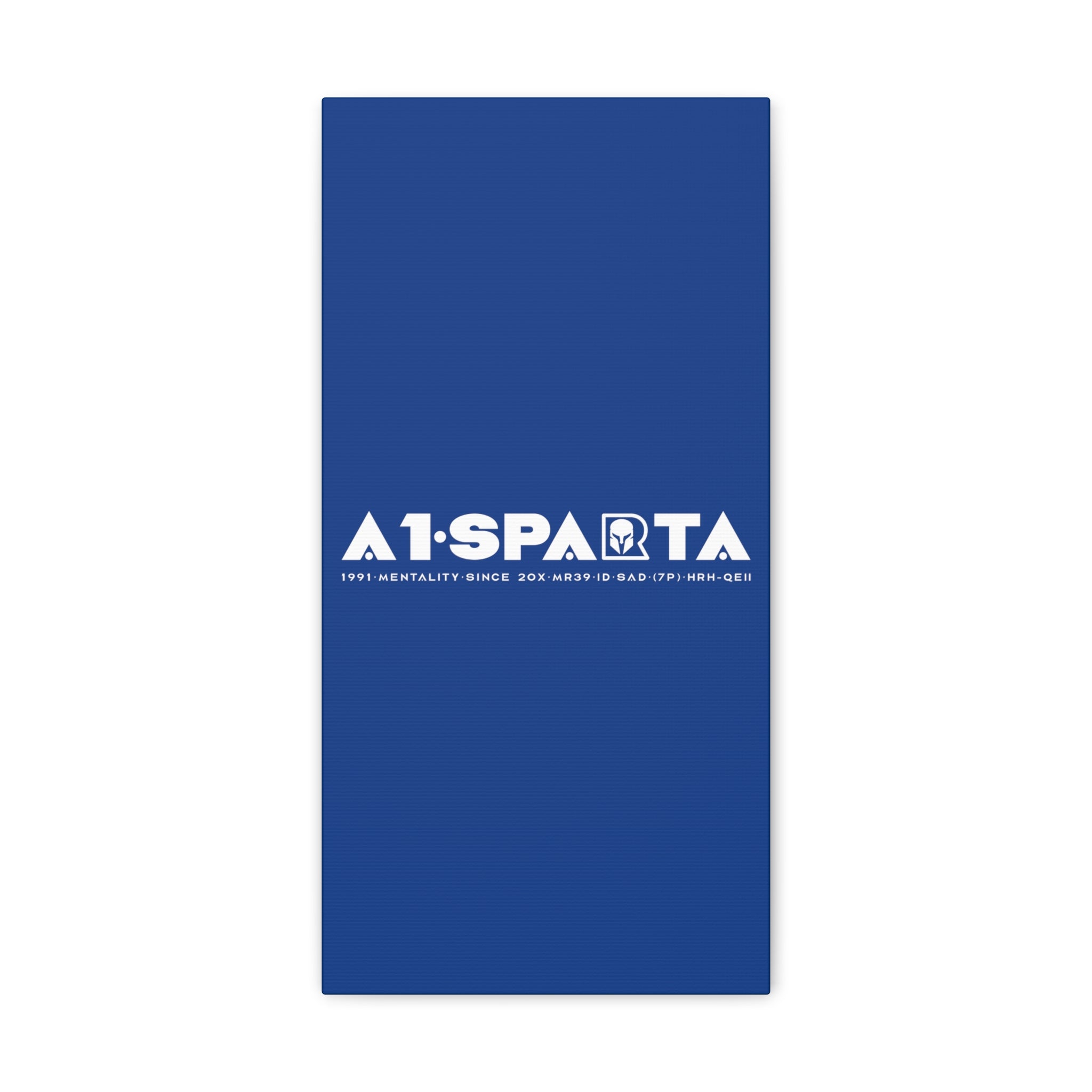 Canvas Gallery Wraps (A1•SPARTA RANGE)